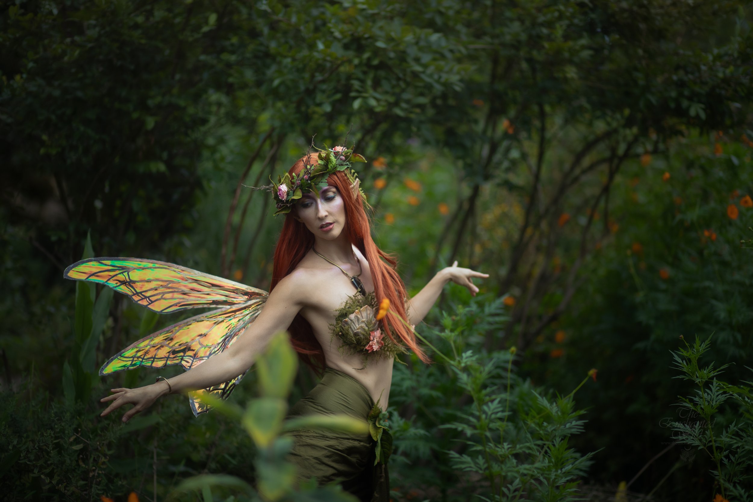 Faerie-4.jpg