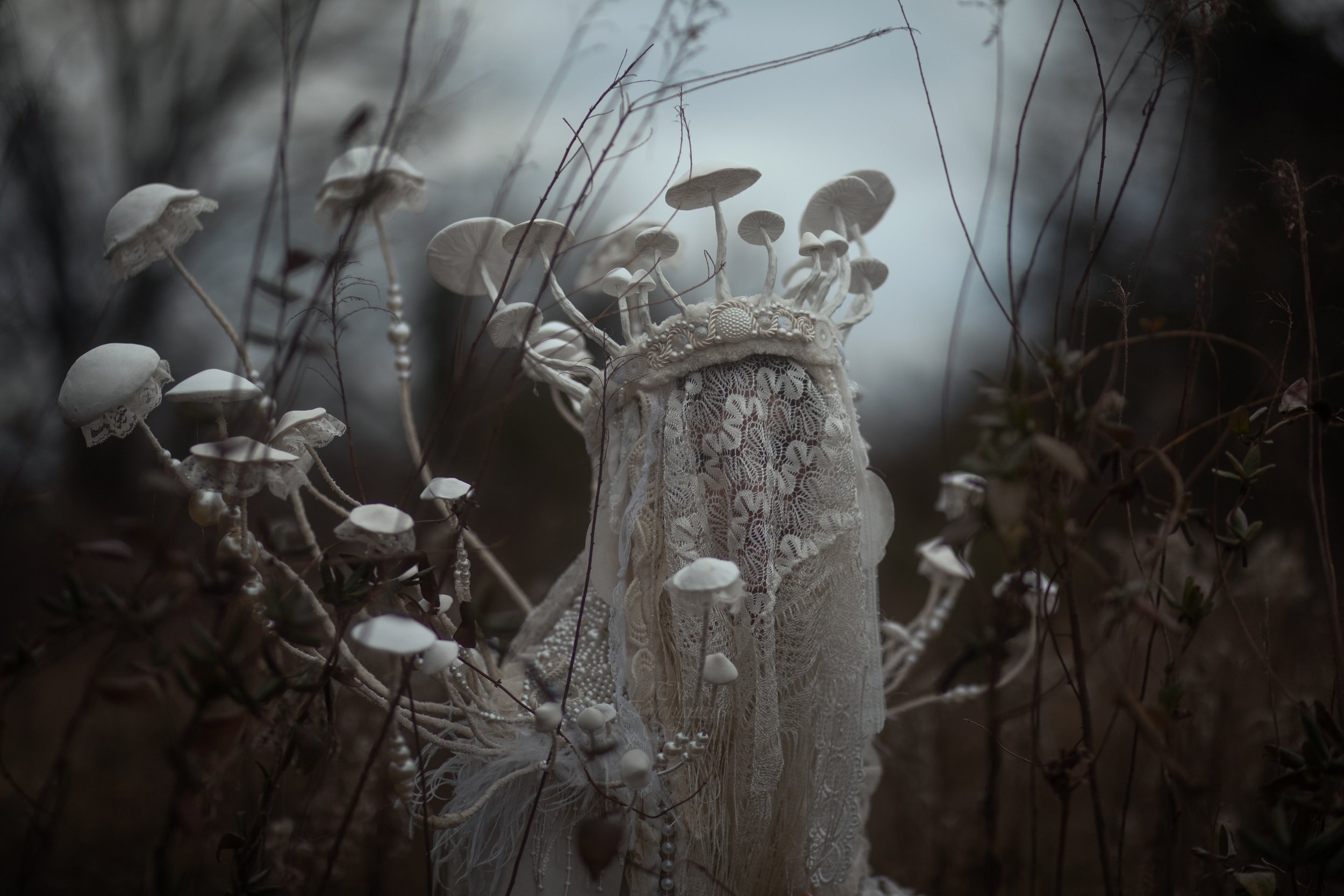 Mushroom Queen-21.jpg