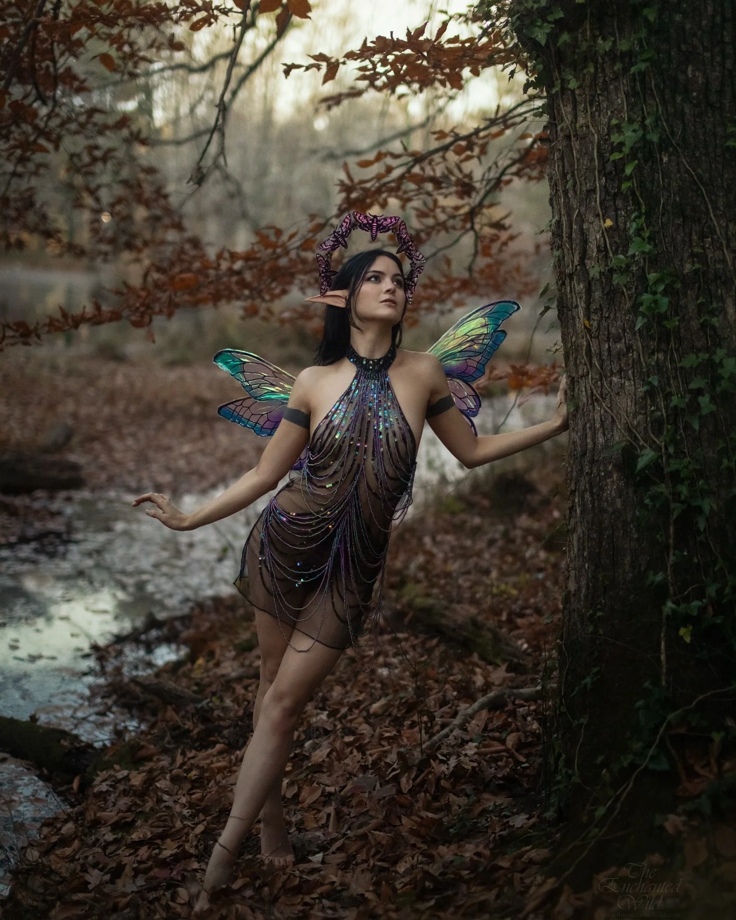 Stepping into the woods with this beautiful faerie, capturing the last moments of sunset in her glimmering wings. 

Photography &amp; faerie wings @silverwinteroak / @theenchantedwild 
Model @froggieapple 
Hair comb @annareikherjewelry 
Dress from Cr