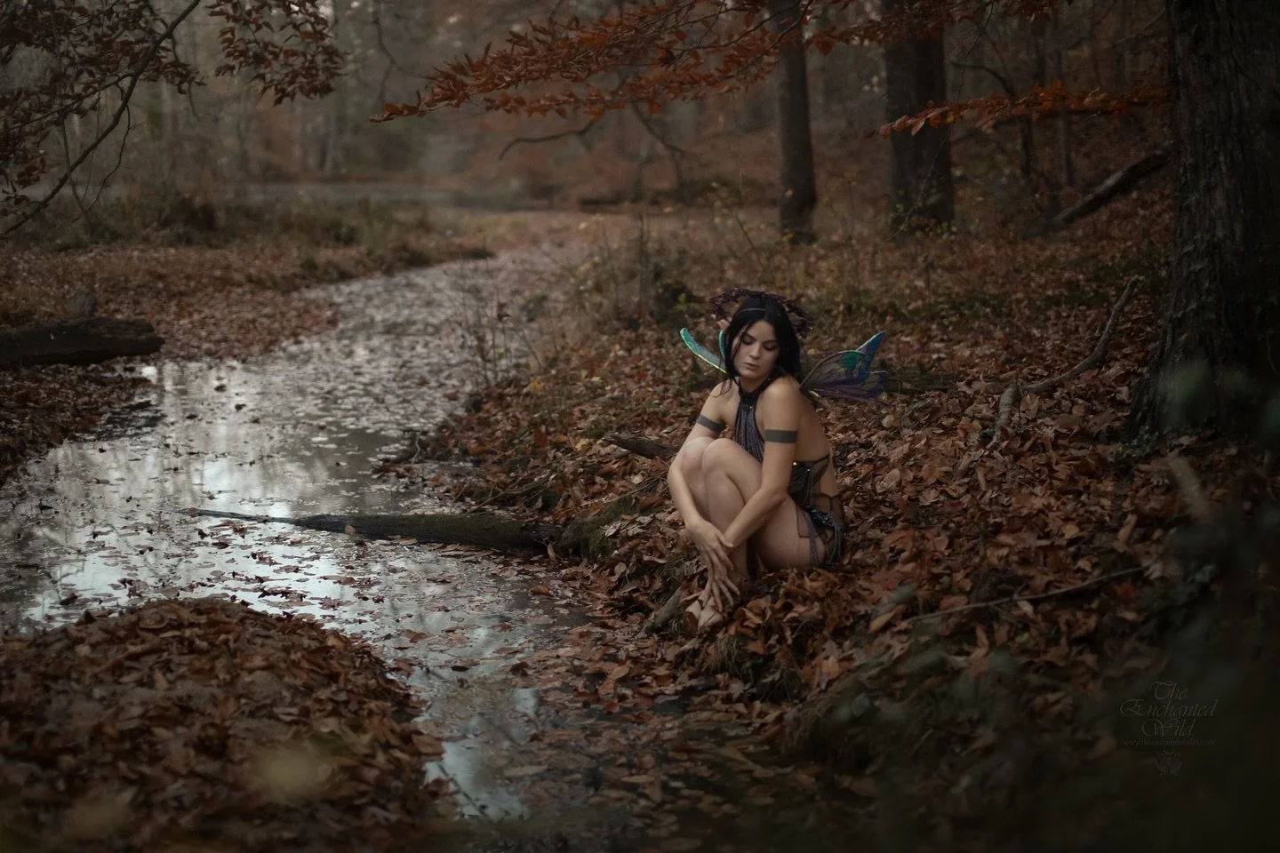 Stepping into the woods with this beautiful faerie, capturing the last moments of sunset in her glimmering wings. ✨

Photography &amp; faerie wings @silverwinteroak / @theenchantedwild 
Model @froggieapple 
Dress from Creatures of Habit, KY