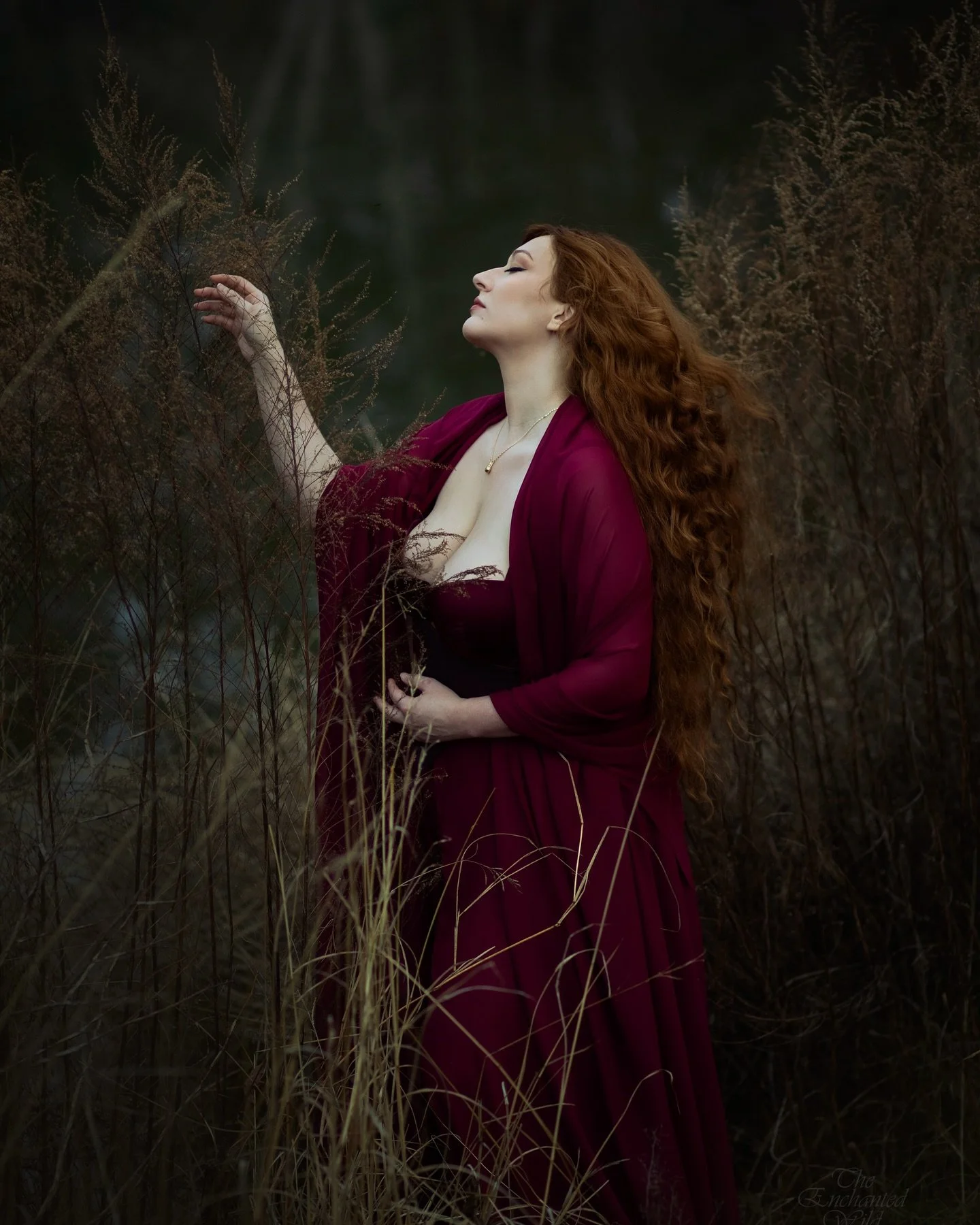 My birthday self-portraits, wrapped in rich red hues as I focus on rebirth, passion, and intention in the new year.
Assisted by my sweet partner and wearing a necklace gift from my darling friend. ✨

Another year reminded of how incredible my chosen 
