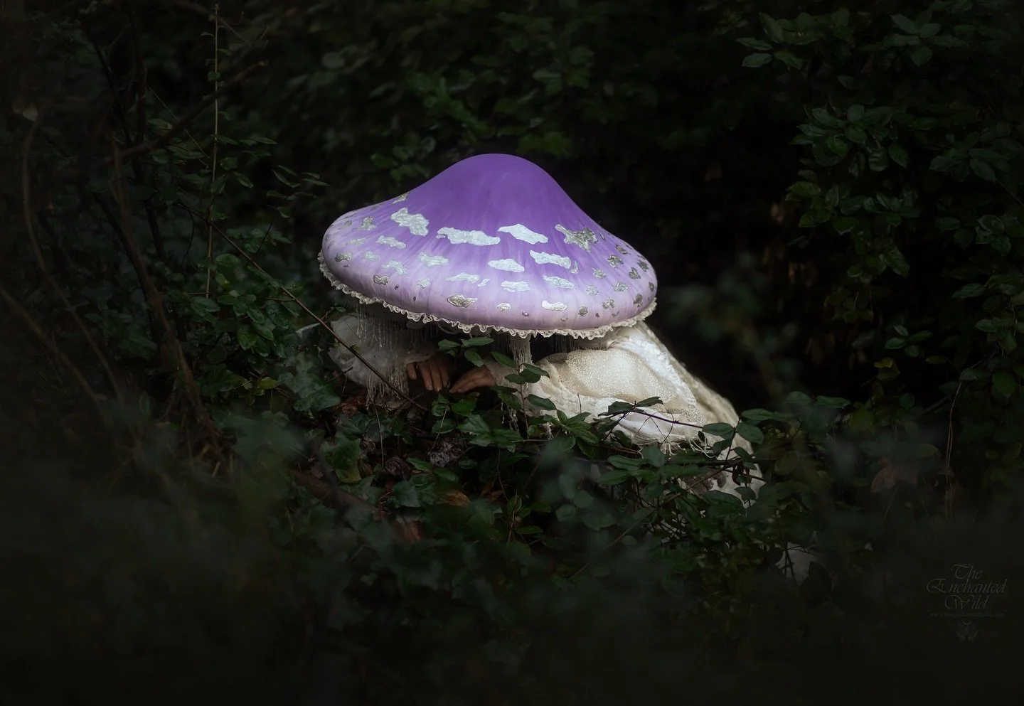 April 18 &amp; 19 @the_phaneron_fae and I will be hosting a mini session weekend showcasing her beautiful mushroom headpieces! We will have a rainbow to select from, looking forward to bringing in the springtime greenery with your magical faces. 

De