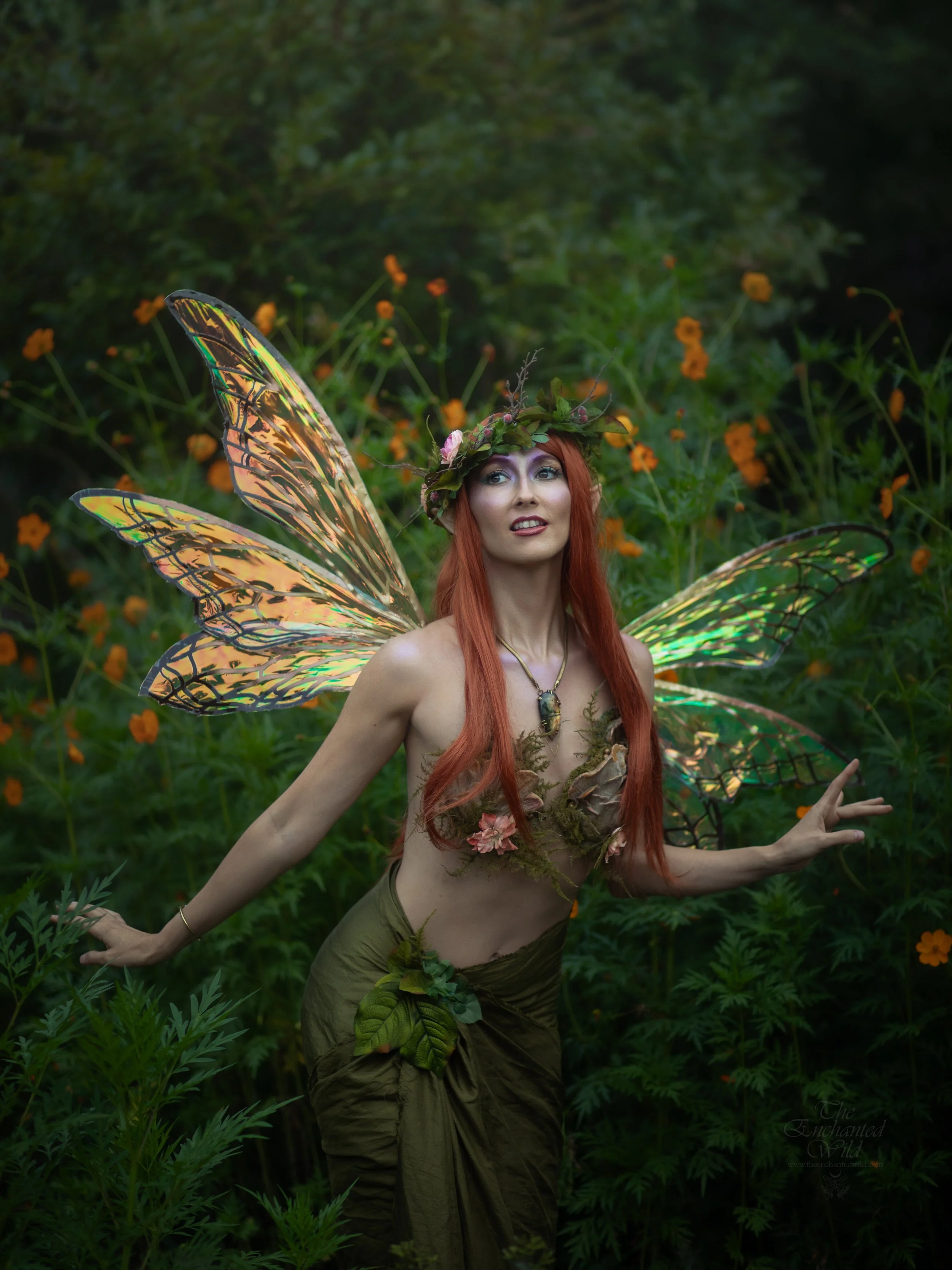 Faerie-1.jpg
