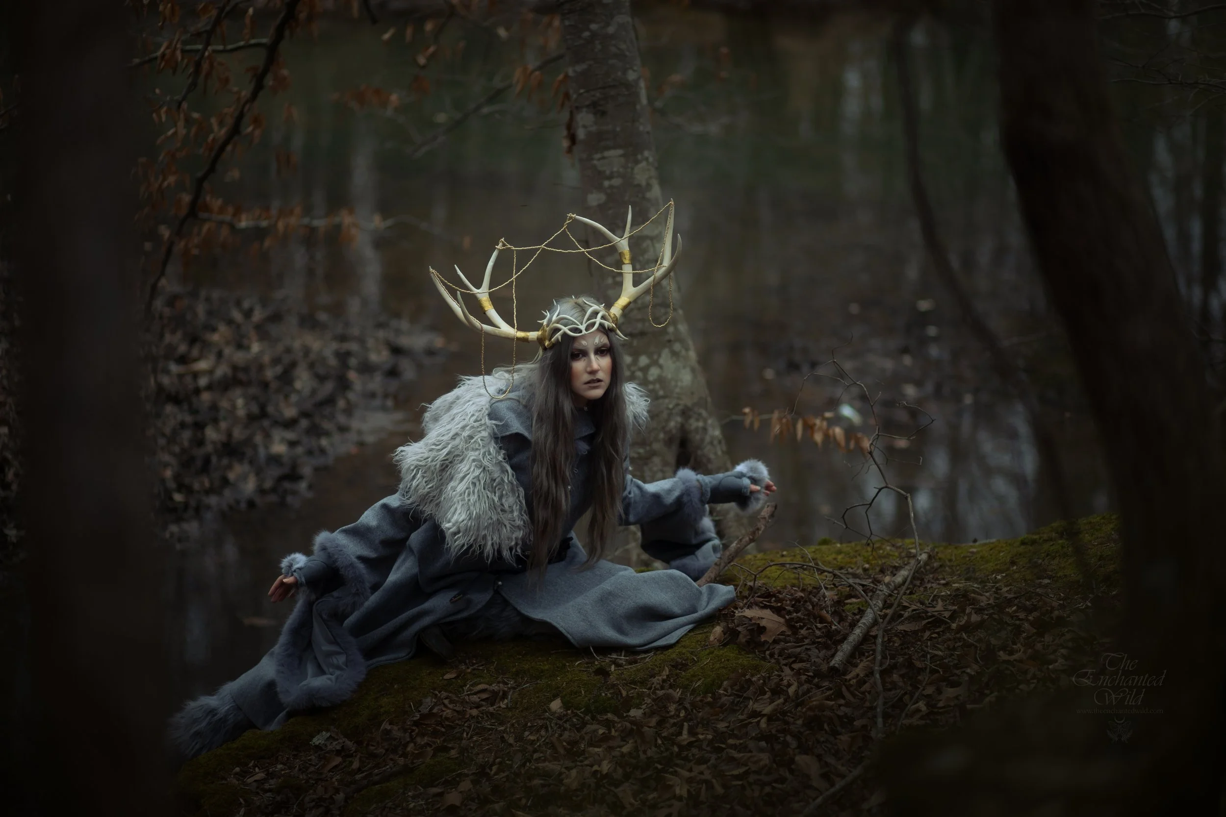 Antlers-7.jpg