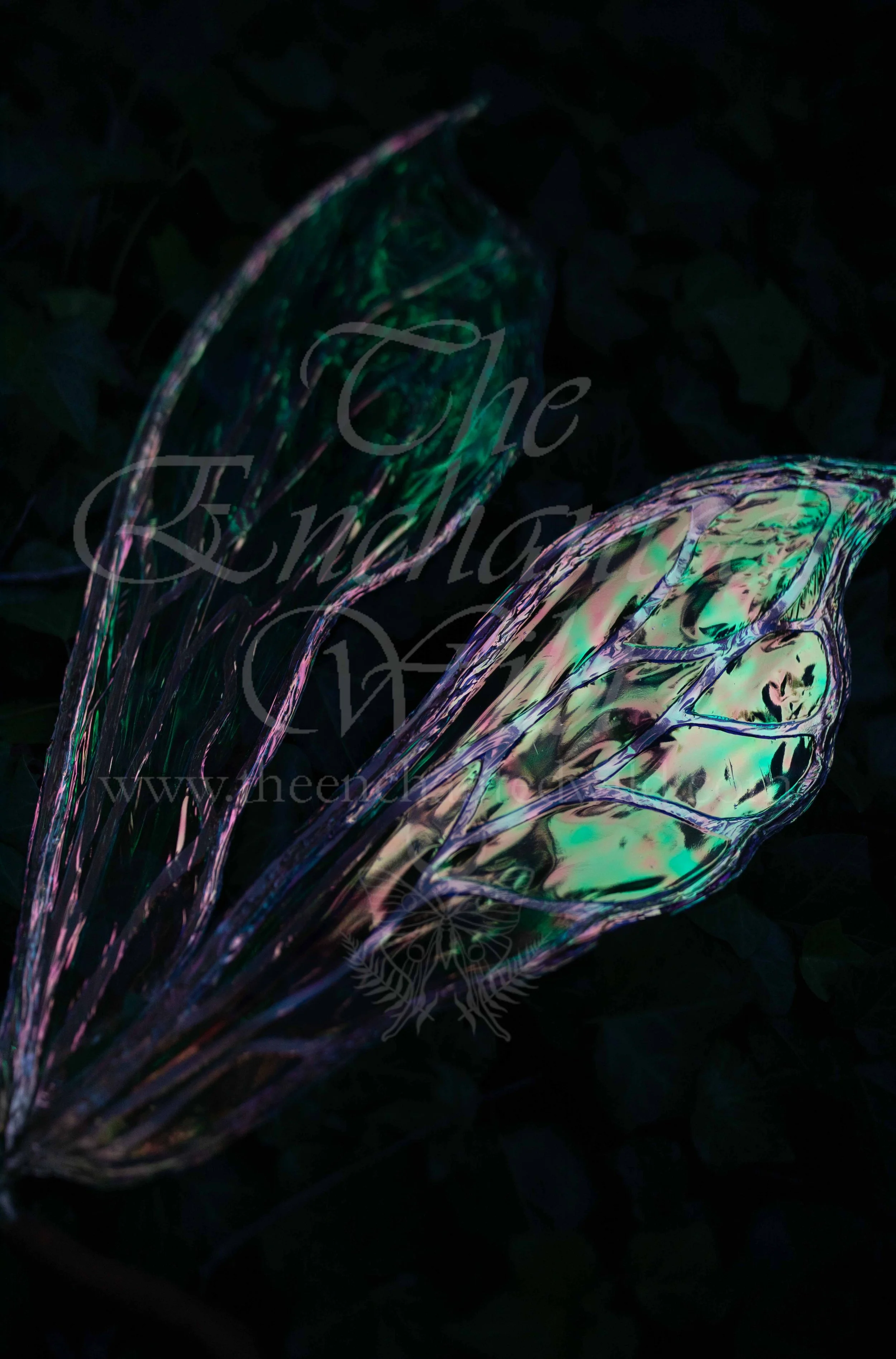 !Small Versions of Wing Files-59.JPG