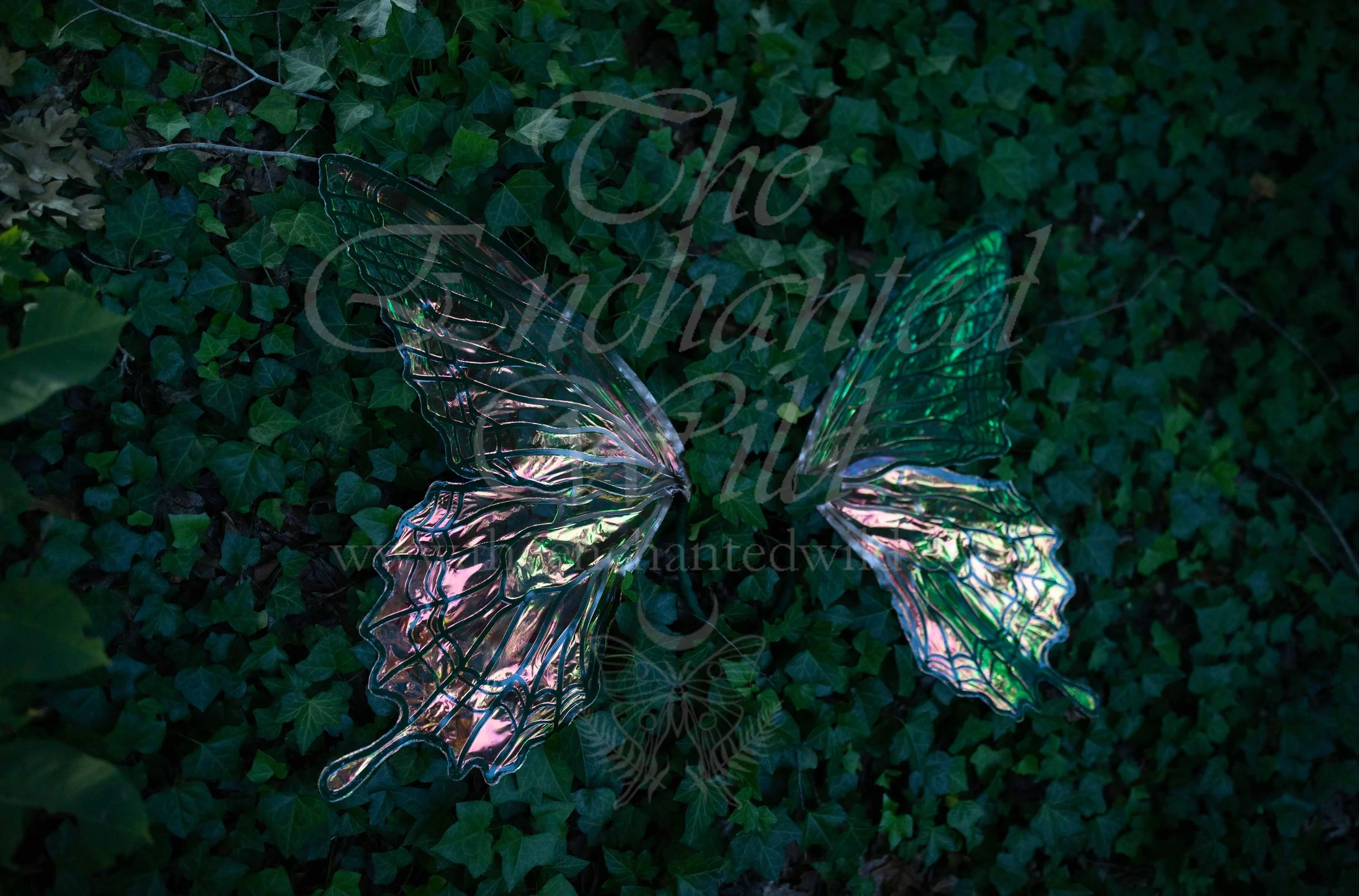 !Small Versions of Wing Files-79.JPG