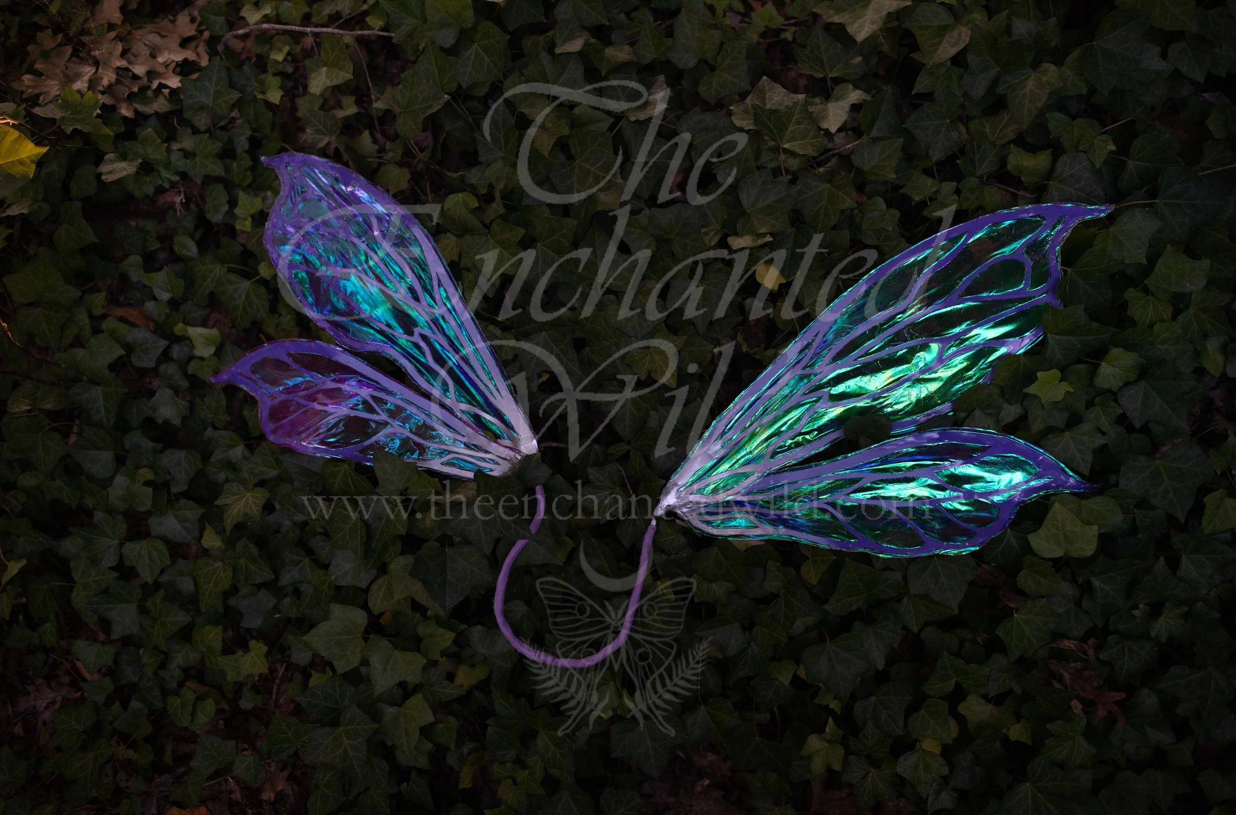 !Small Versions of Wing Files-109.JPG