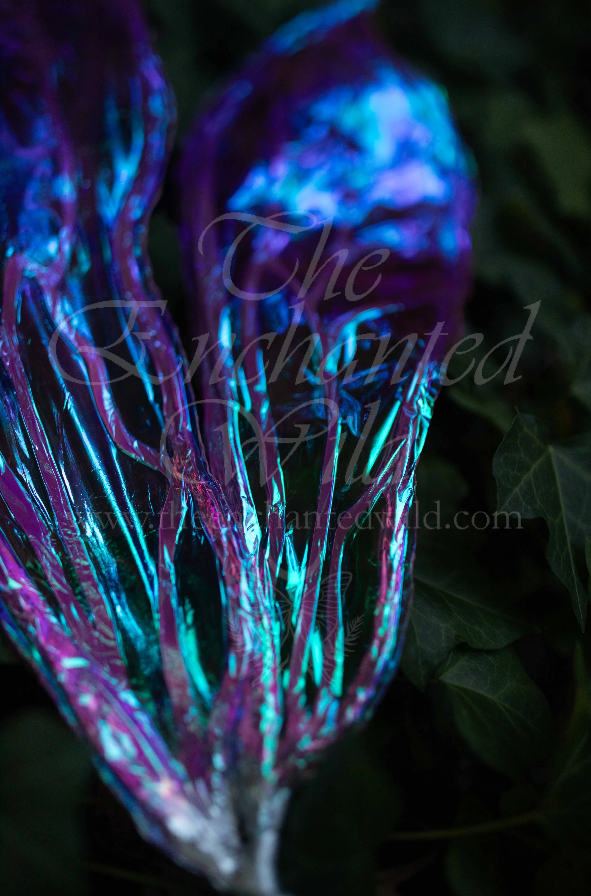 !Small Versions of Wing Files-125.JPG