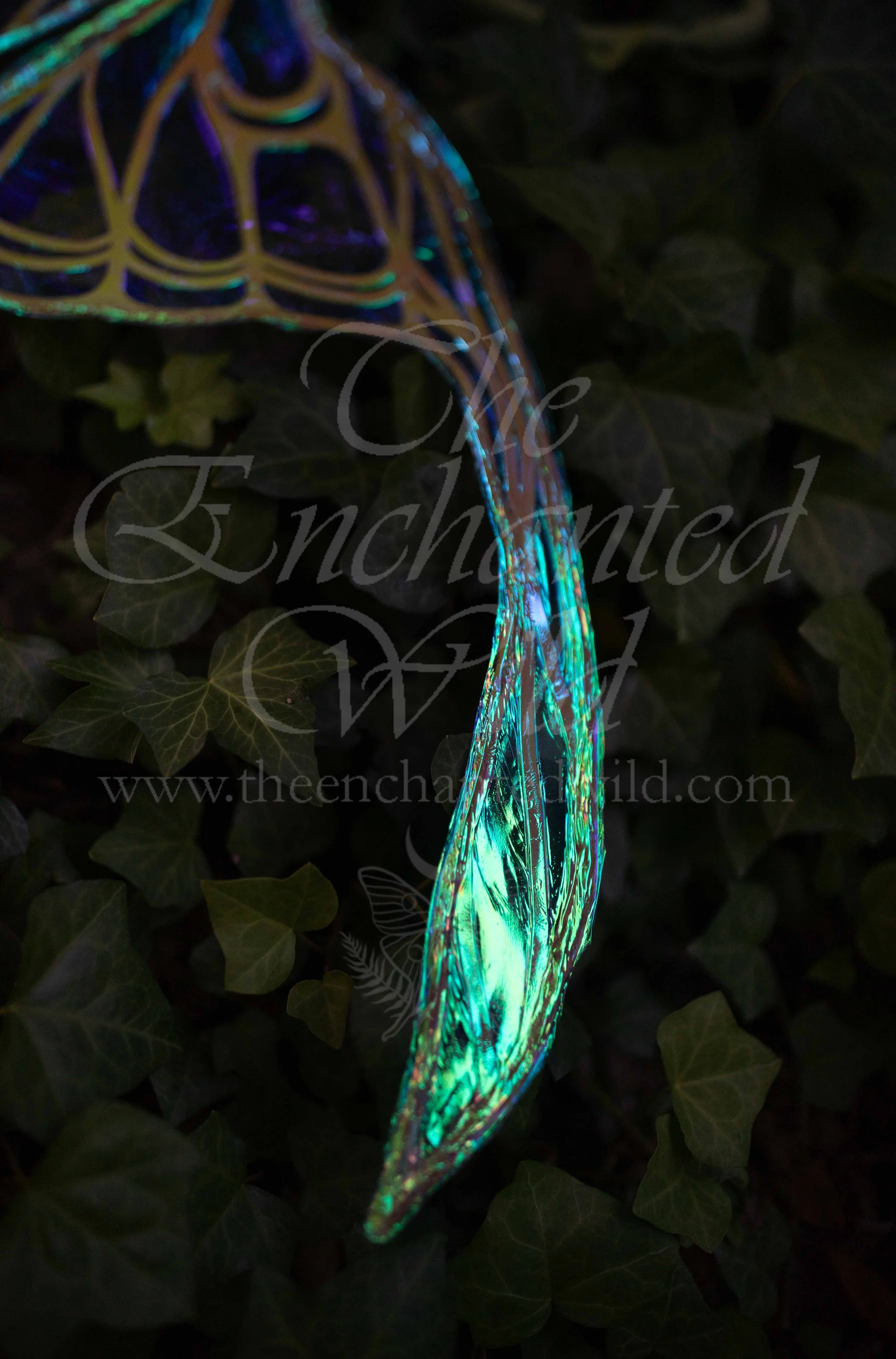 !Small Versions of Wing Files-74.JPG