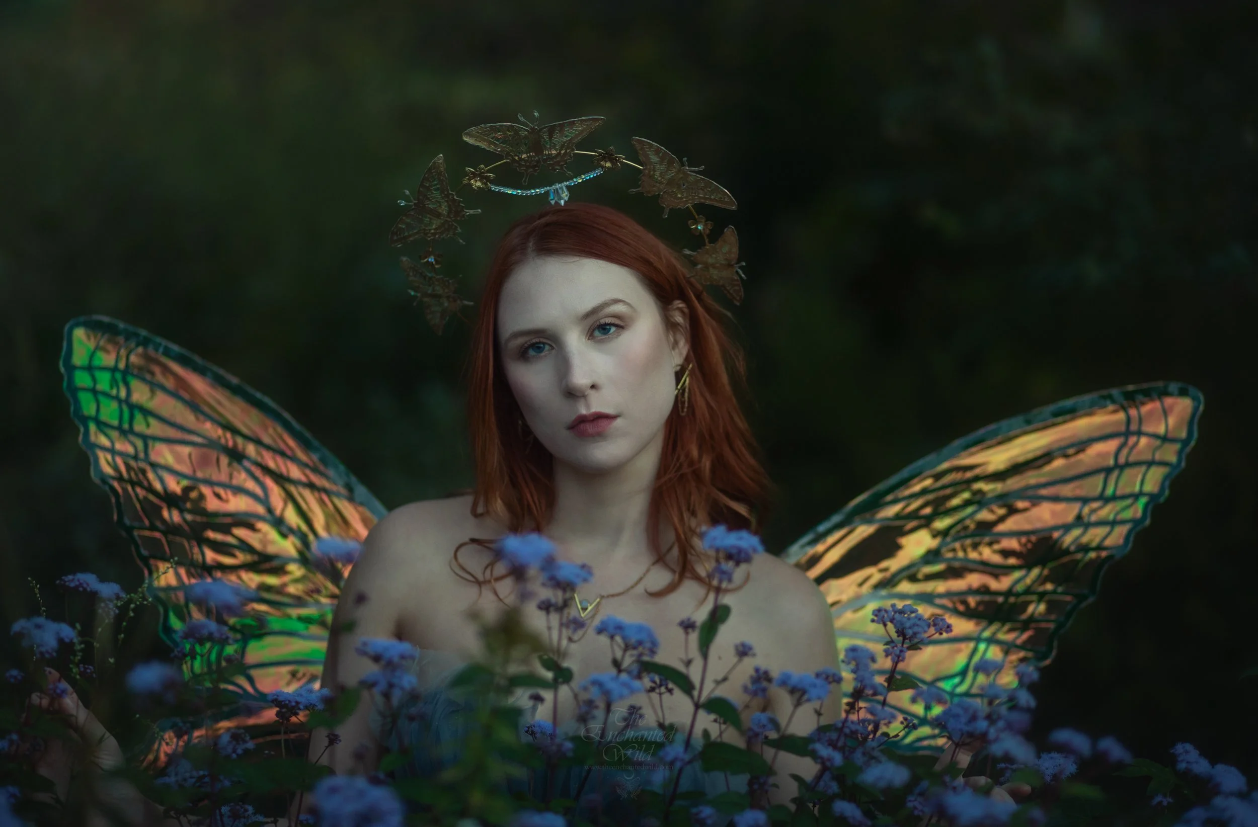 Faerie-9.JPG