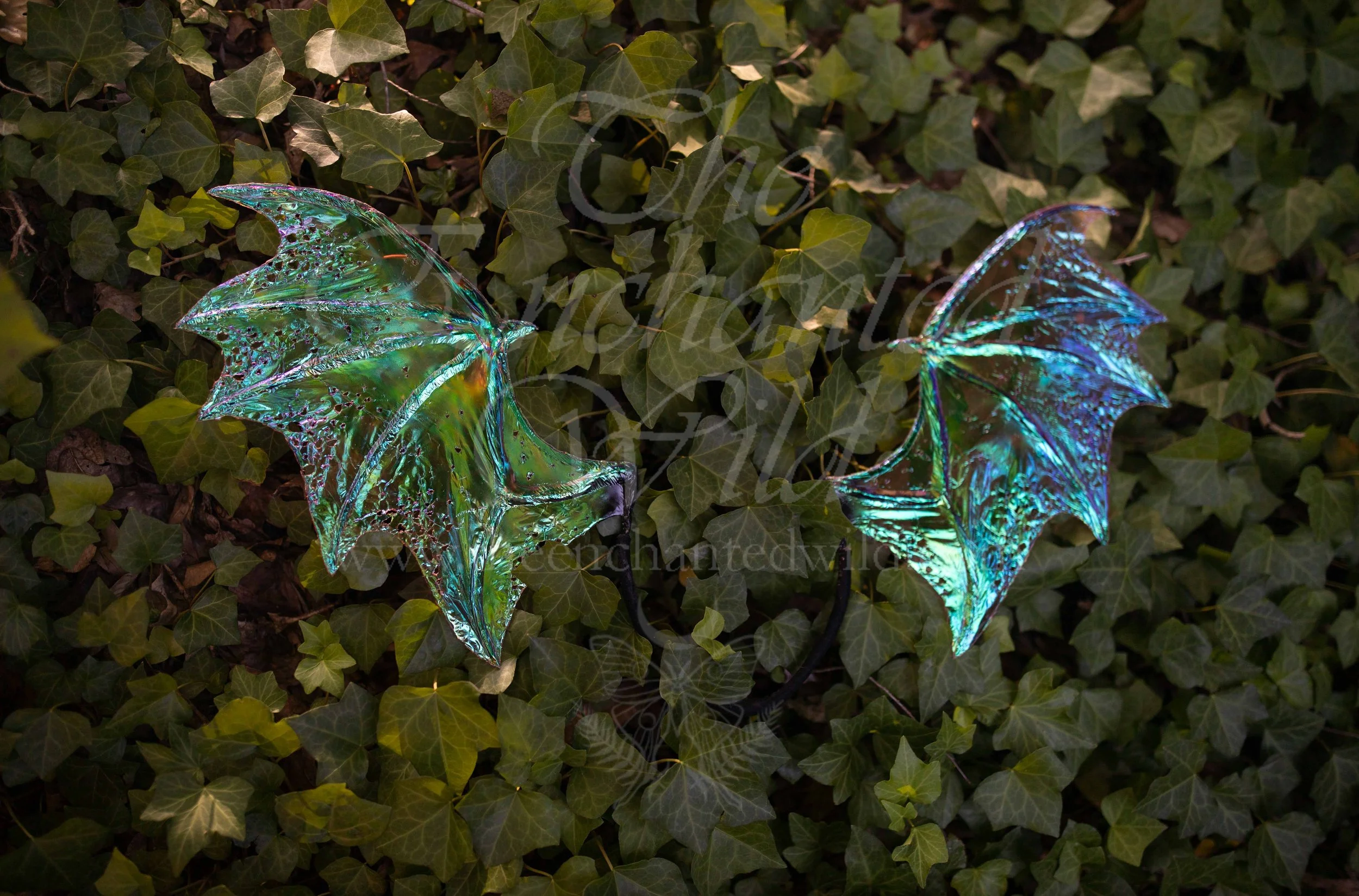 !Small Versions of Wing Files-5.JPG