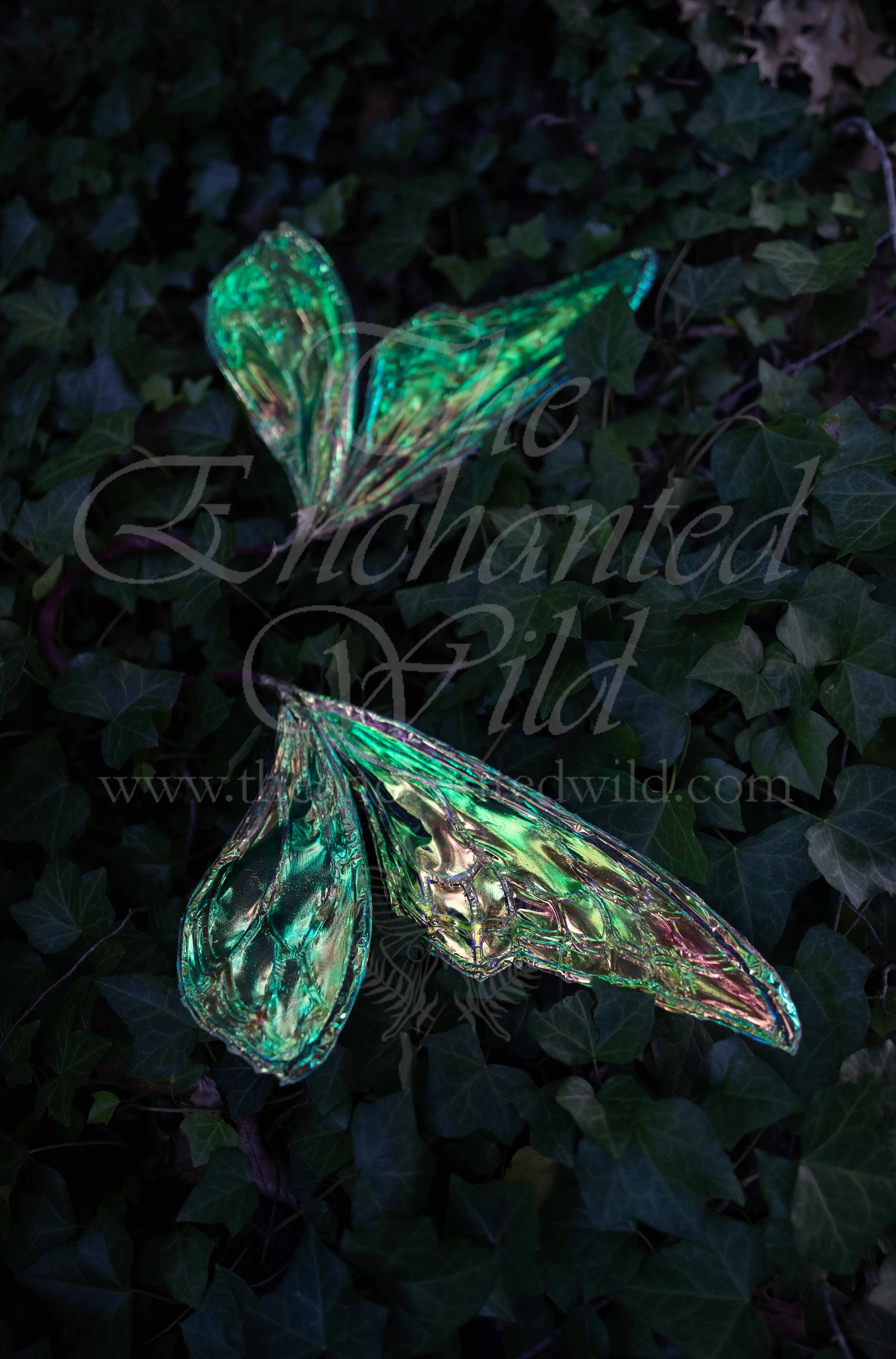 !Small Versions of Wing Files-147.JPG