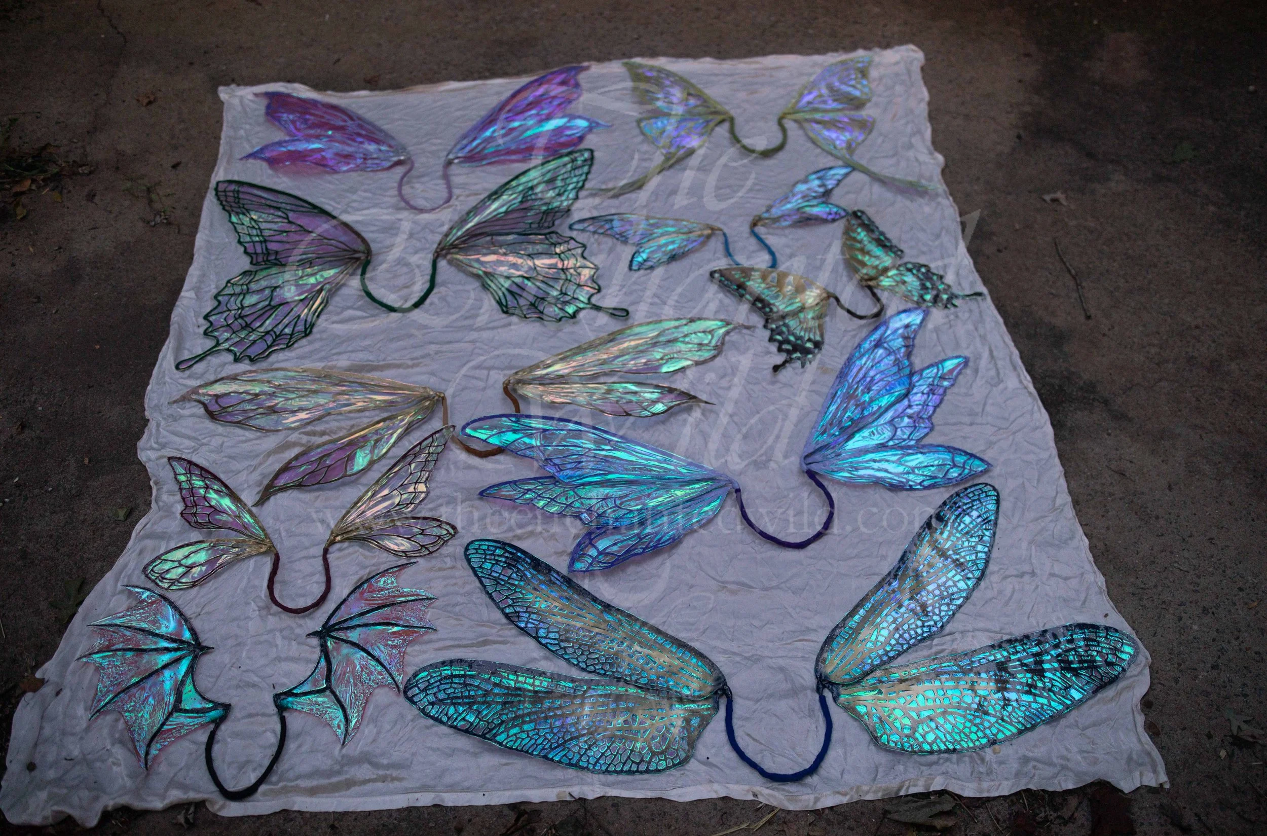 !Small Versions of Wing Files-208.JPG