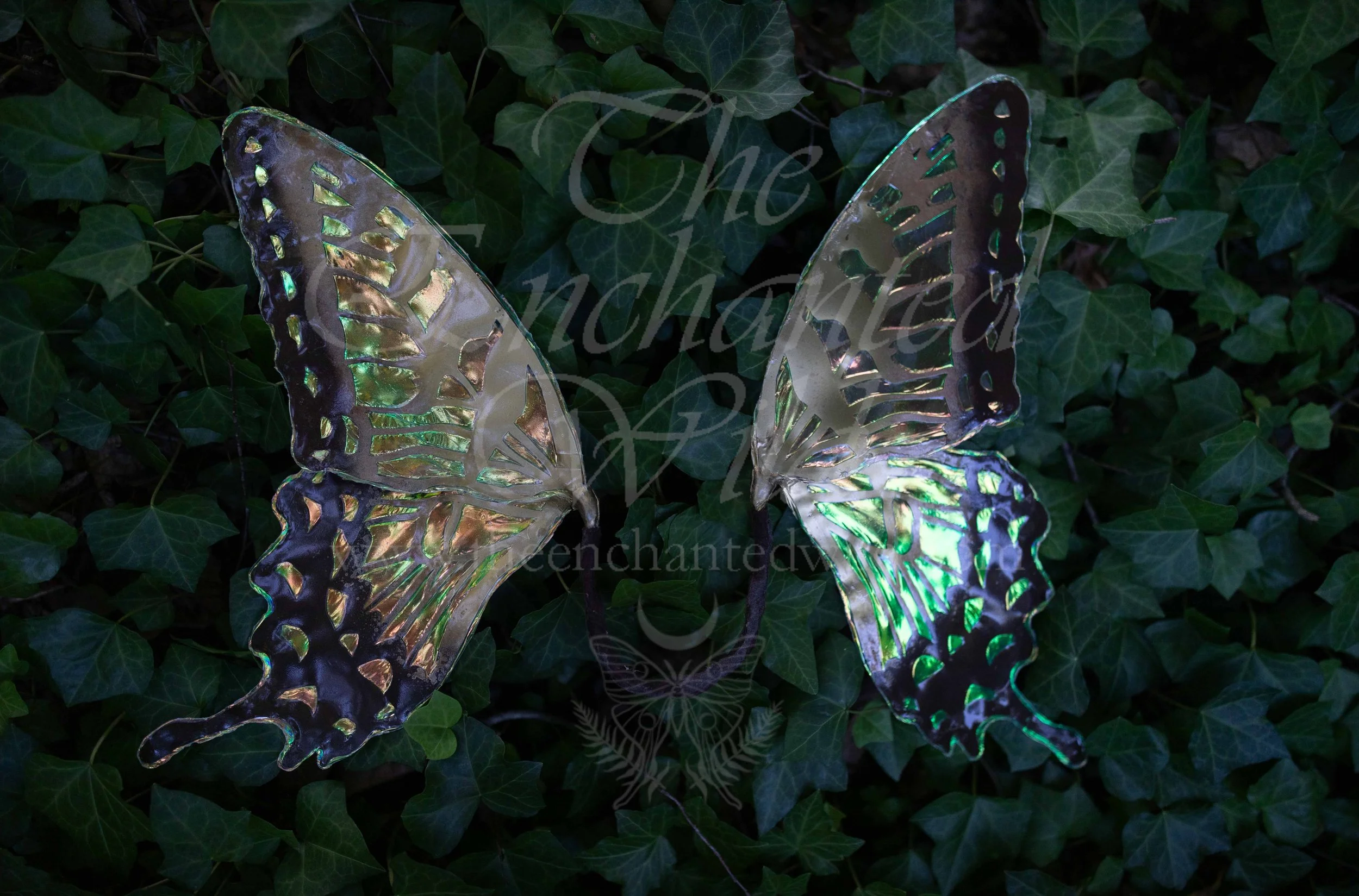 Small Tiger Swallowtail Faerie Wings