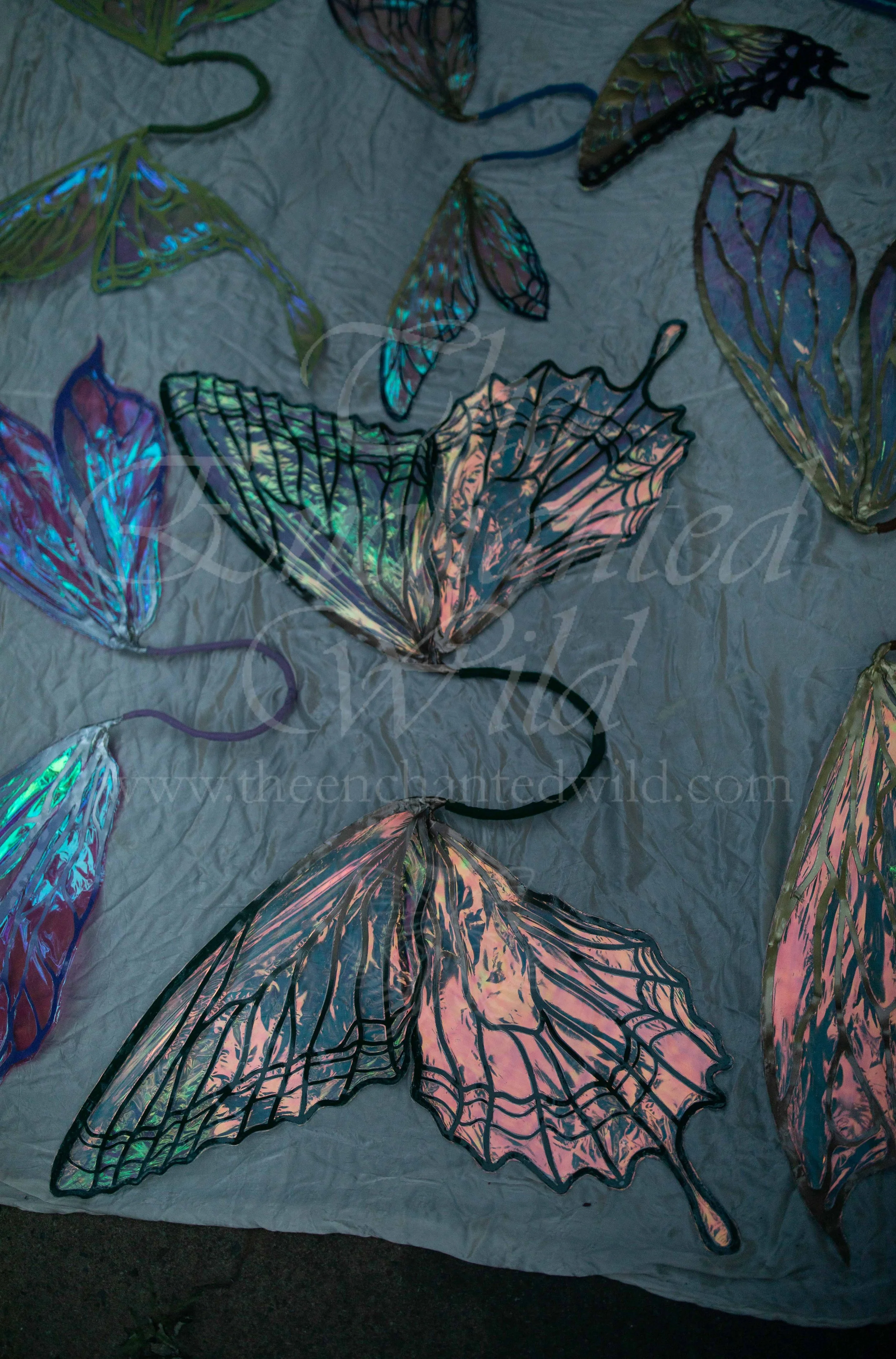 !Small Versions of Wing Files-183.JPG