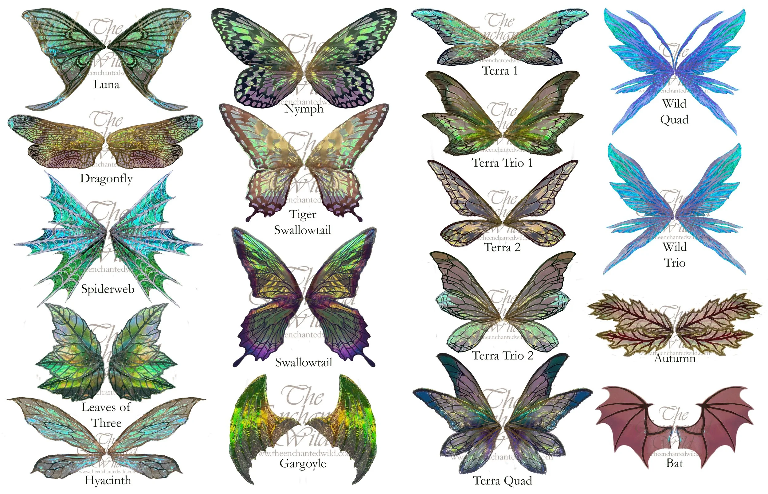 Wings Variety 2024 addition smaller.JPG