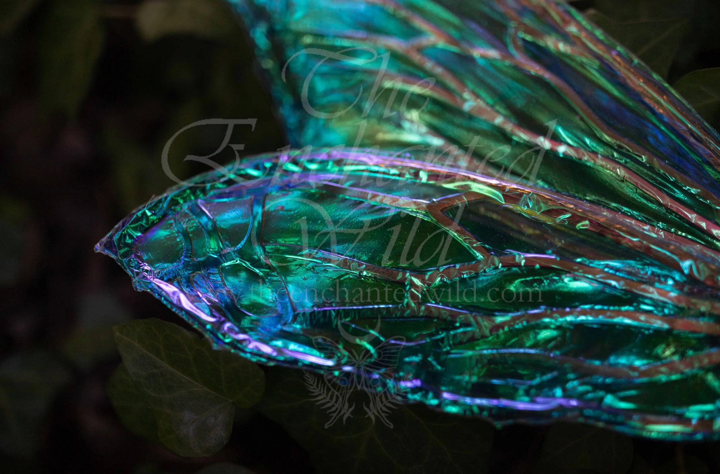 !Small Versions of Wing Files-139.JPG