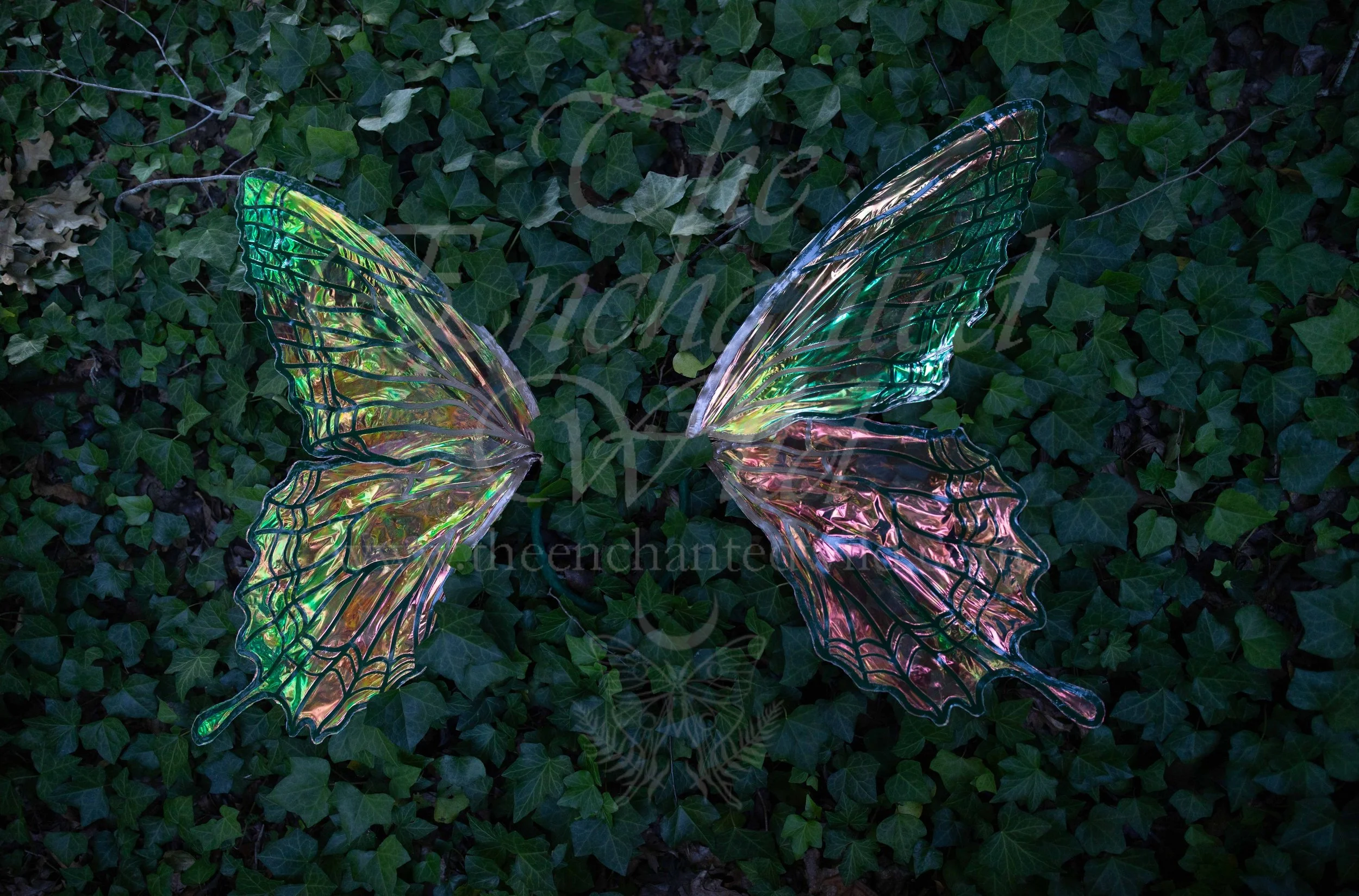 !Small Versions of Wing Files-83.JPG