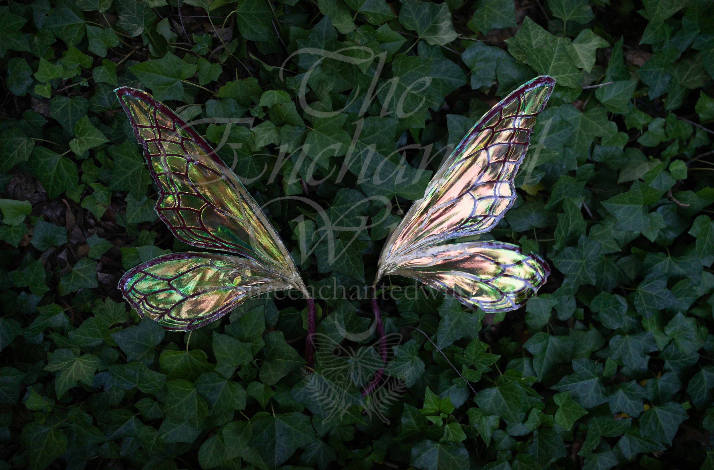 !Small Versions of Wing Files-141.JPG