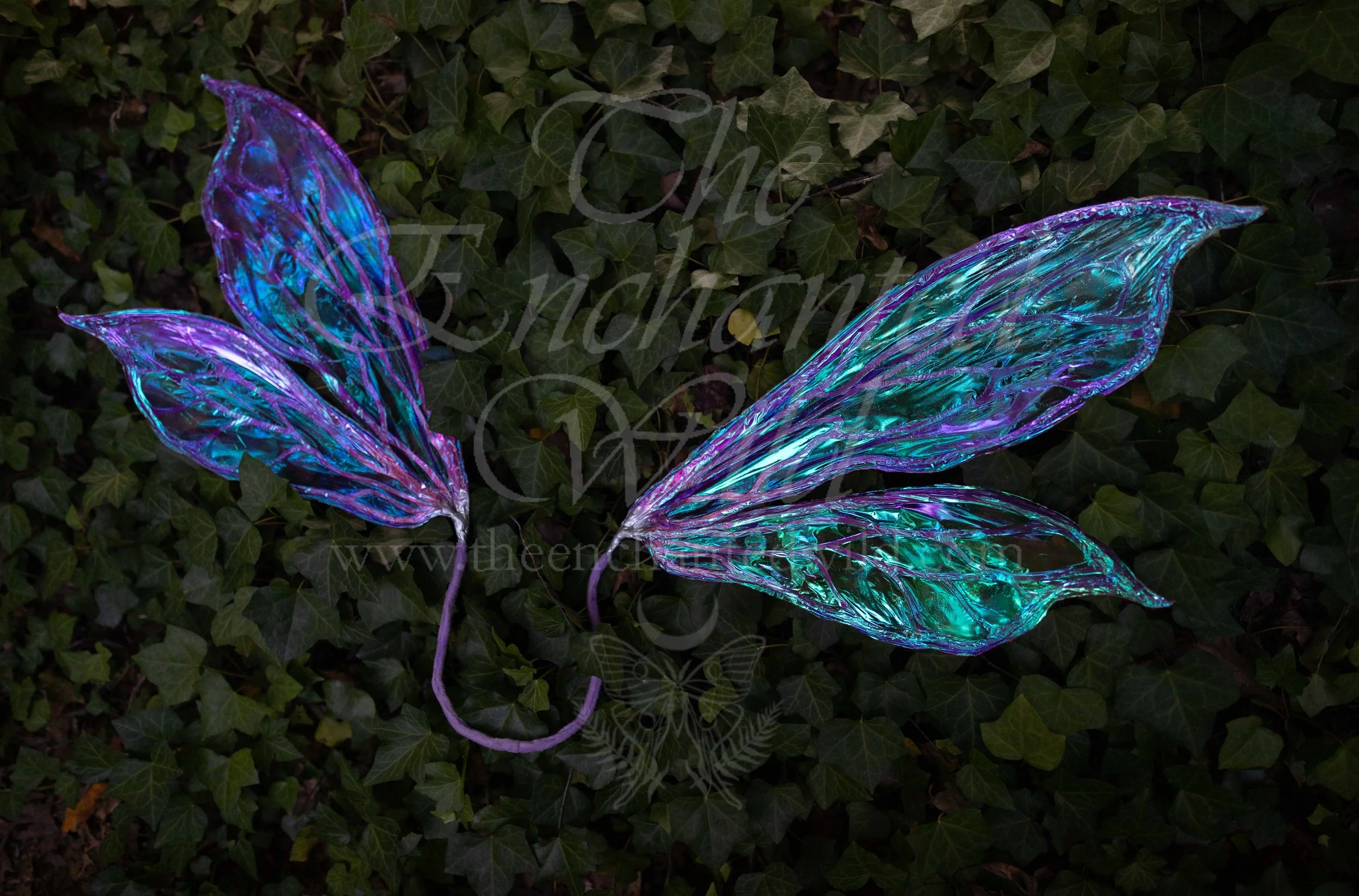 !Small Versions of Wing Files-121.JPG