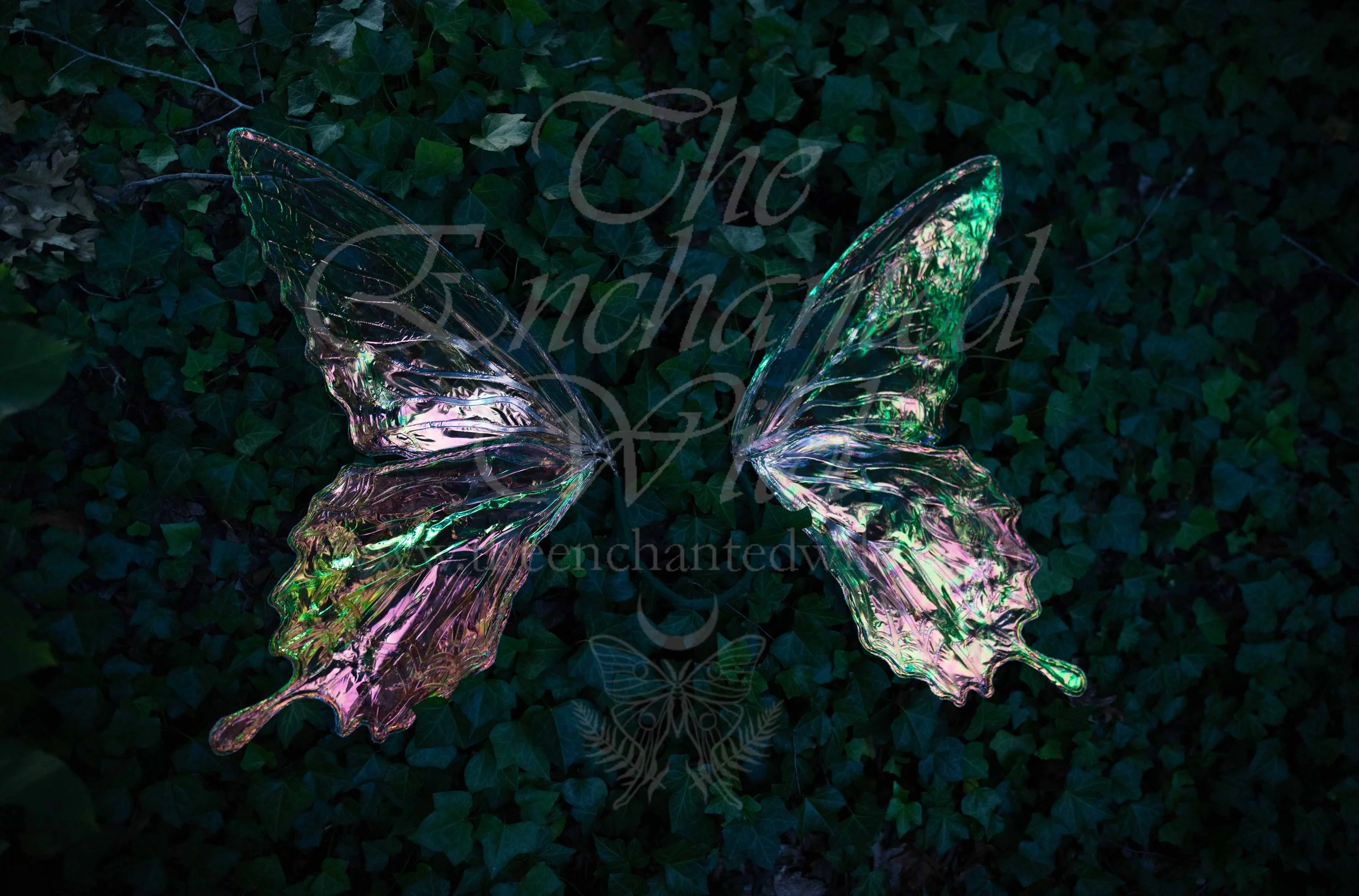 !Small Versions of Wing Files-90.JPG