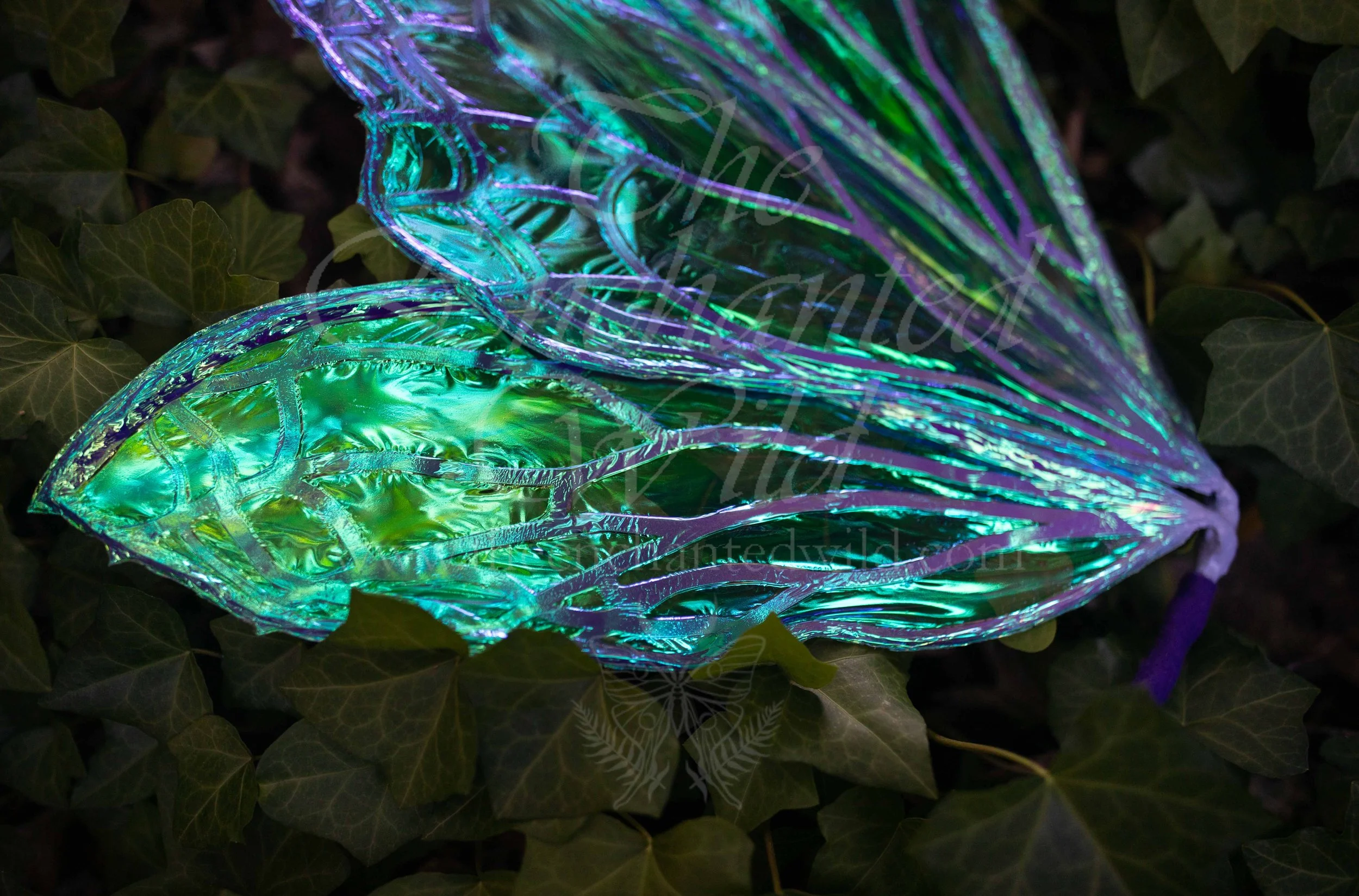 !Small Versions of Wing Files-40.JPG