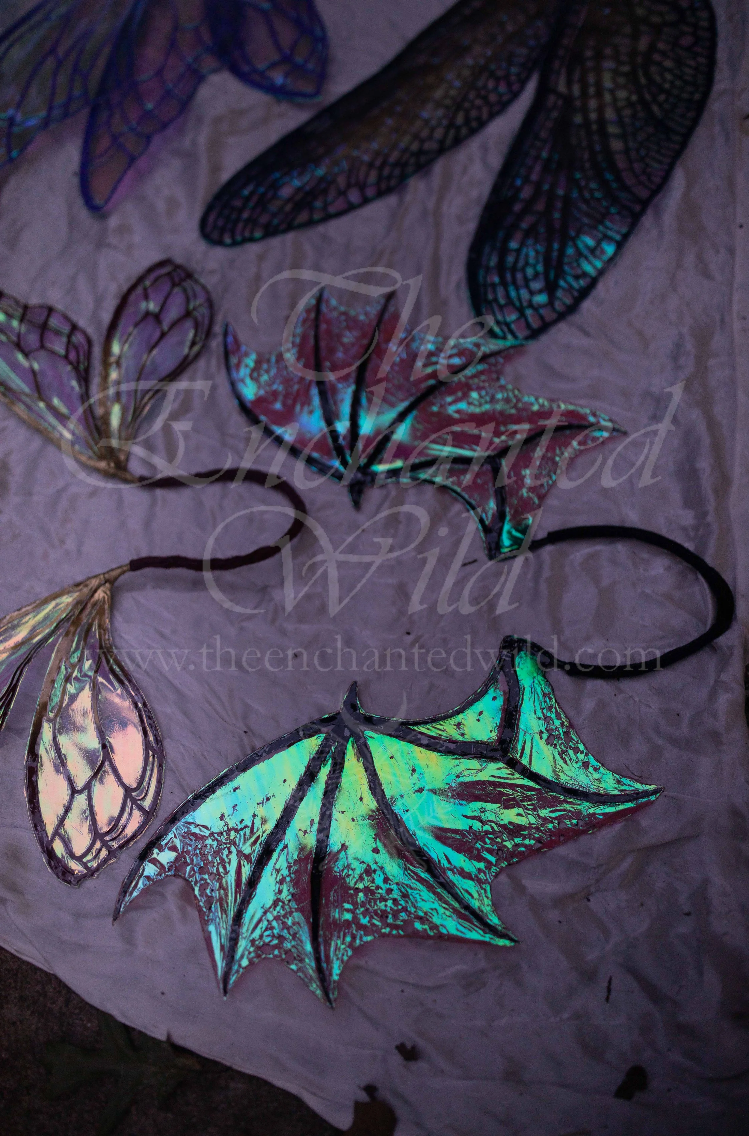 !Small Versions of Wing Files-179.JPG