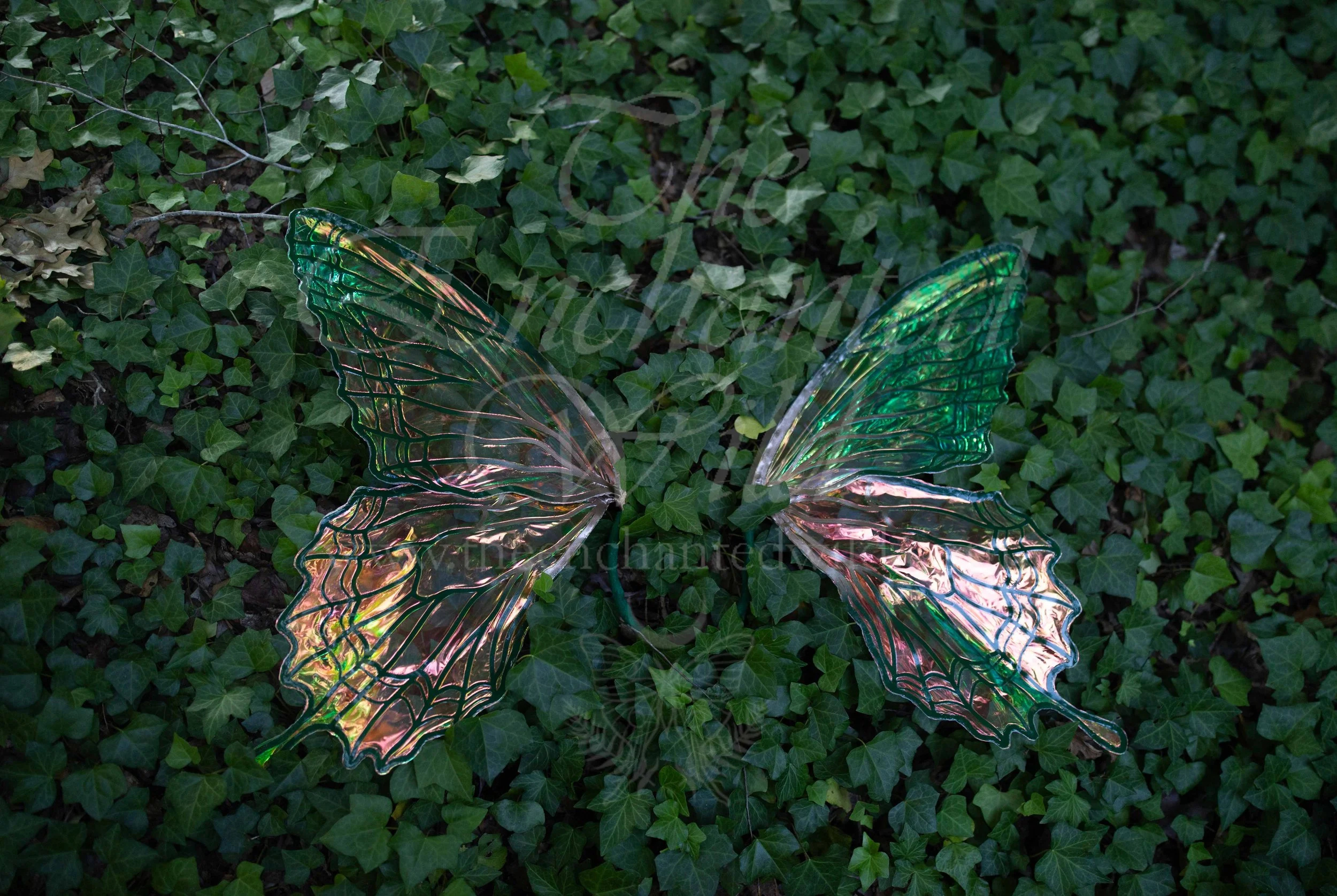 !Small Versions of Wing Files-78.JPG