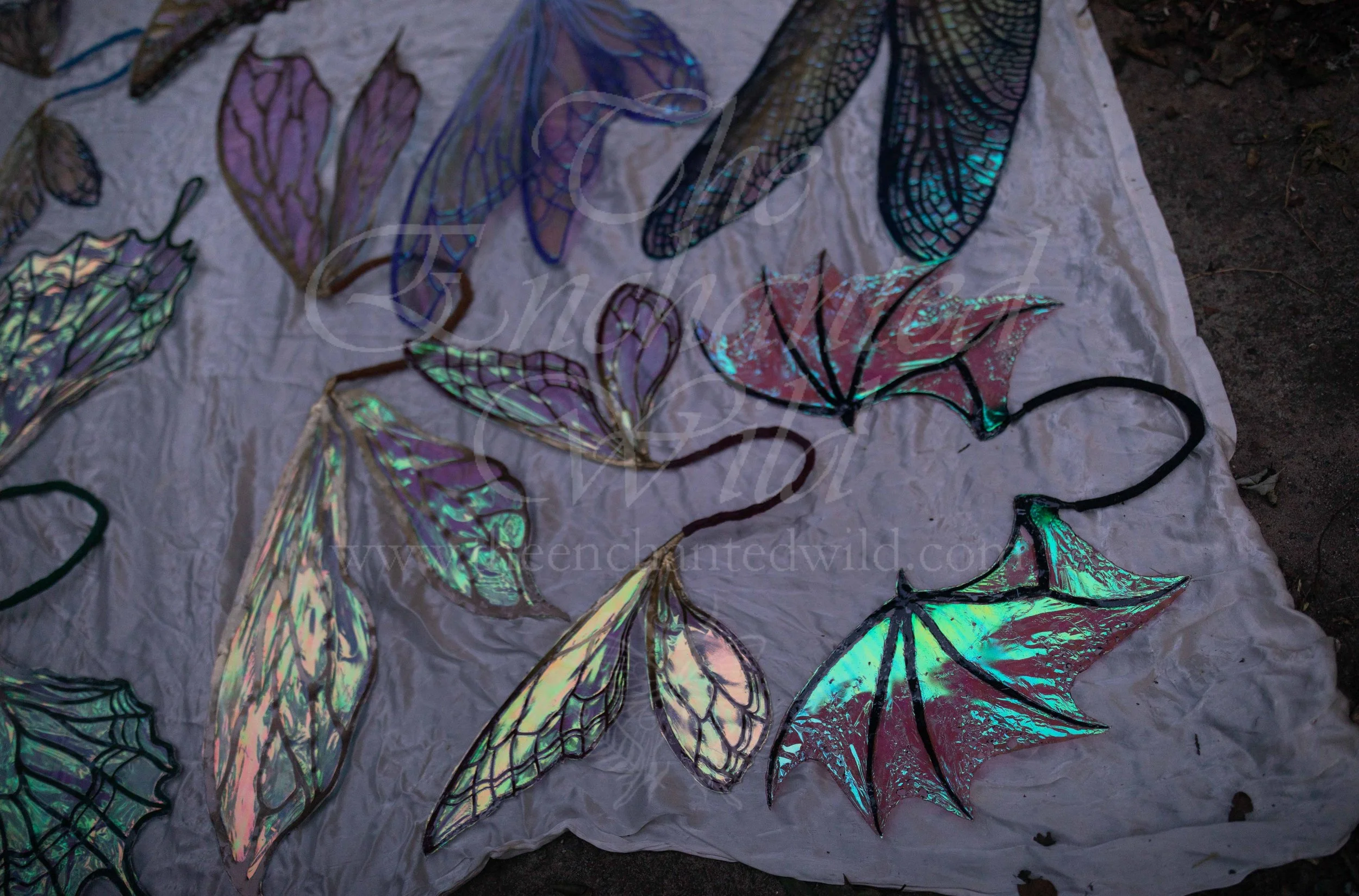 !Small Versions of Wing Files-190.JPG