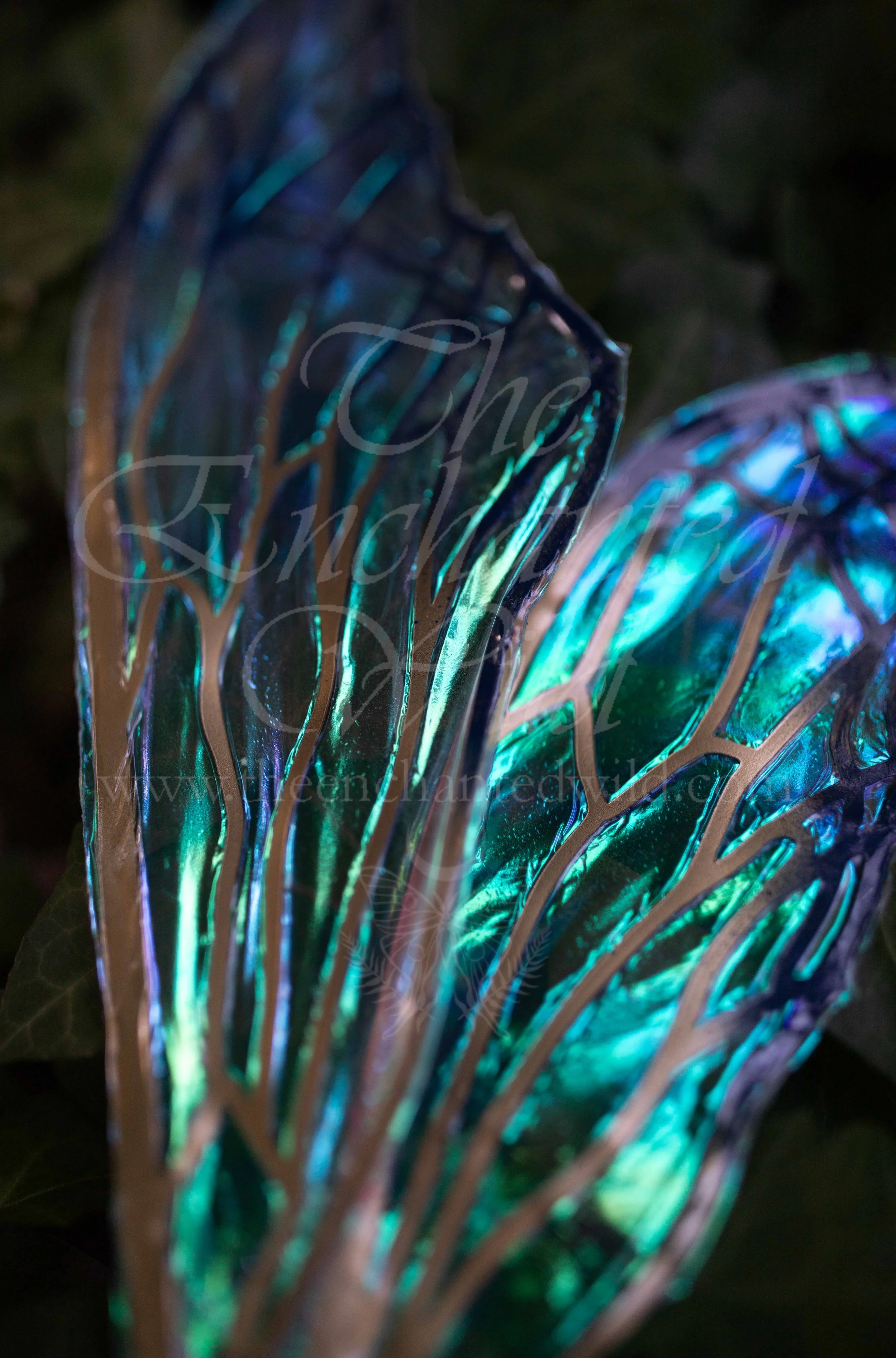 !Small Versions of Wing Files-134.JPG