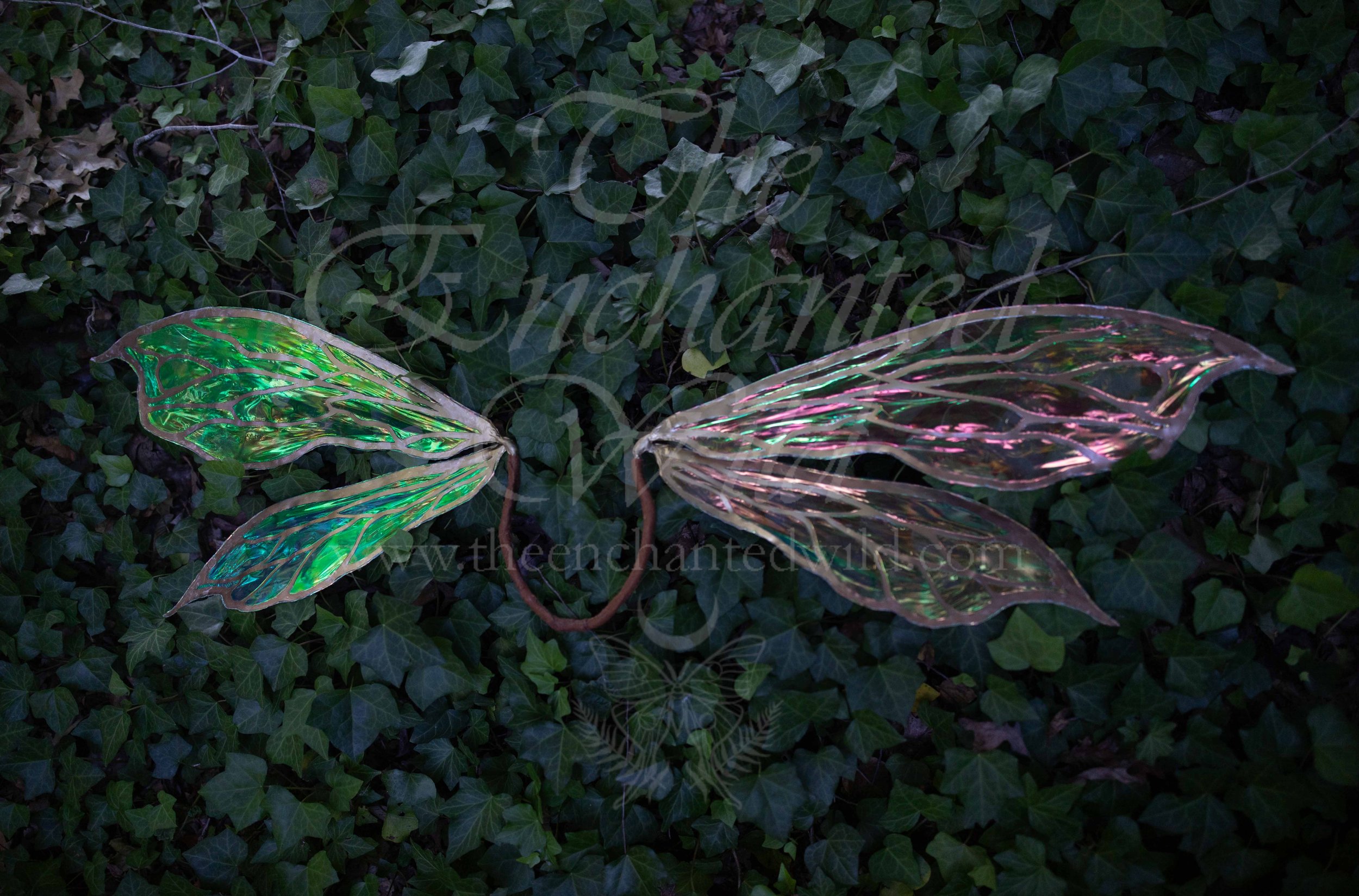 !Small Versions of Wing Files-52.JPG