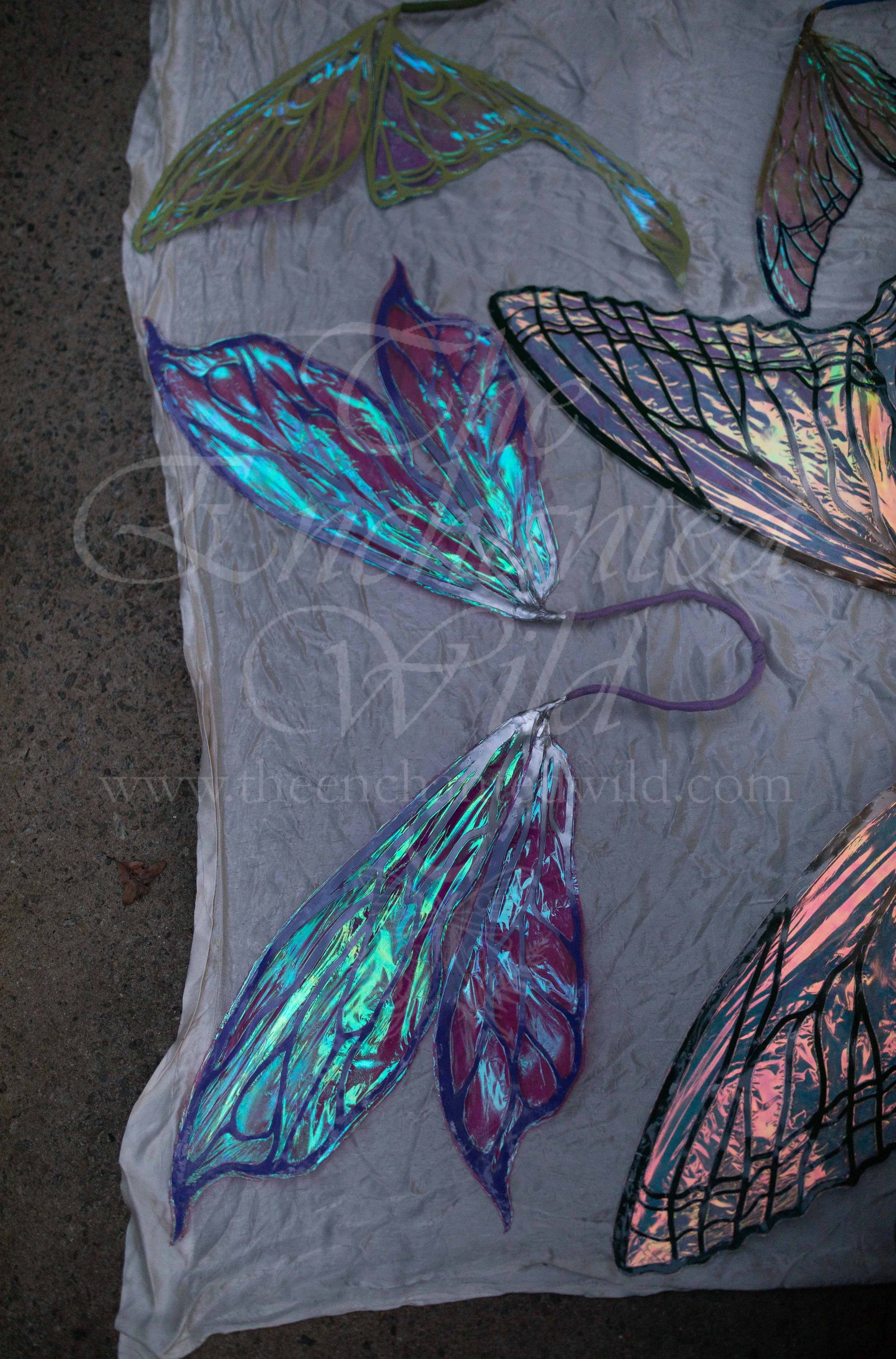 !Small Versions of Wing Files-185.JPG