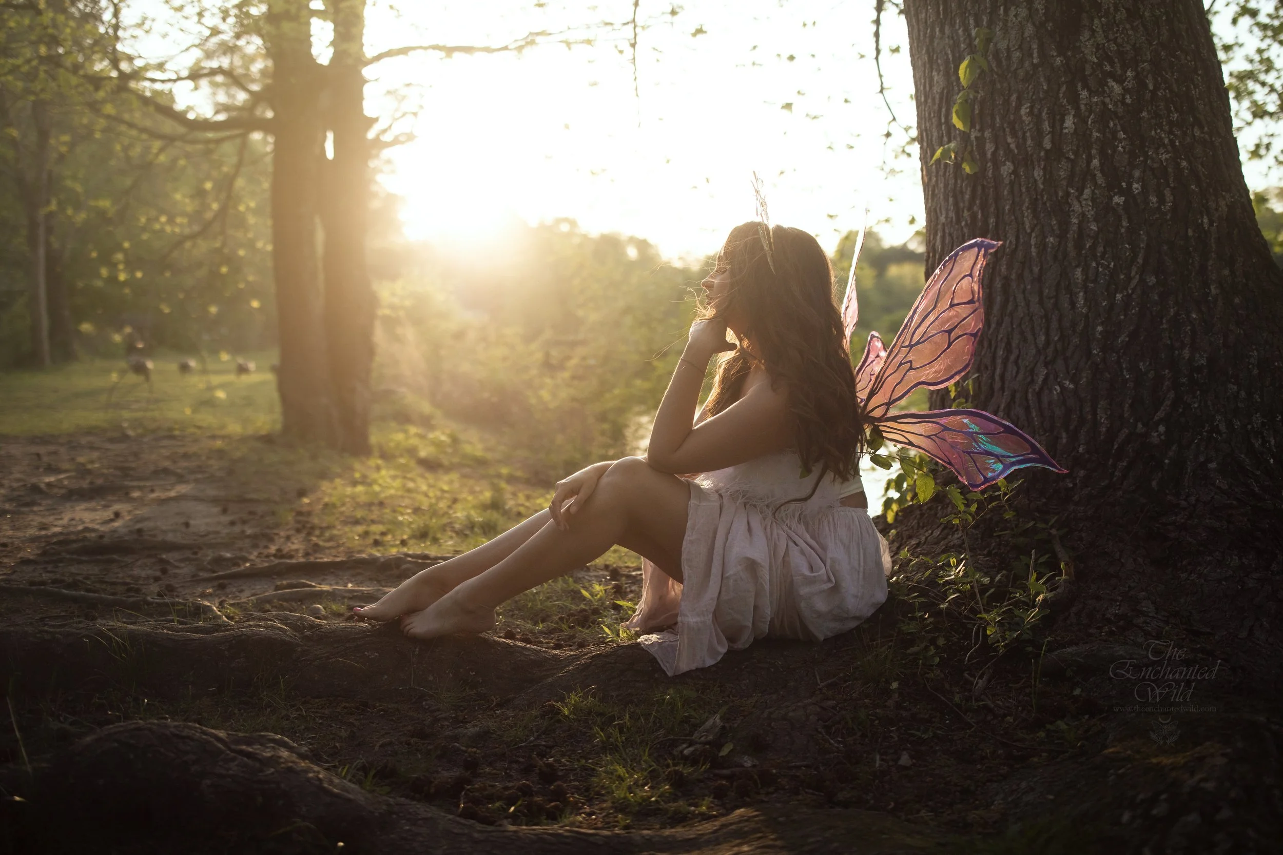 Faerie-17.JPG