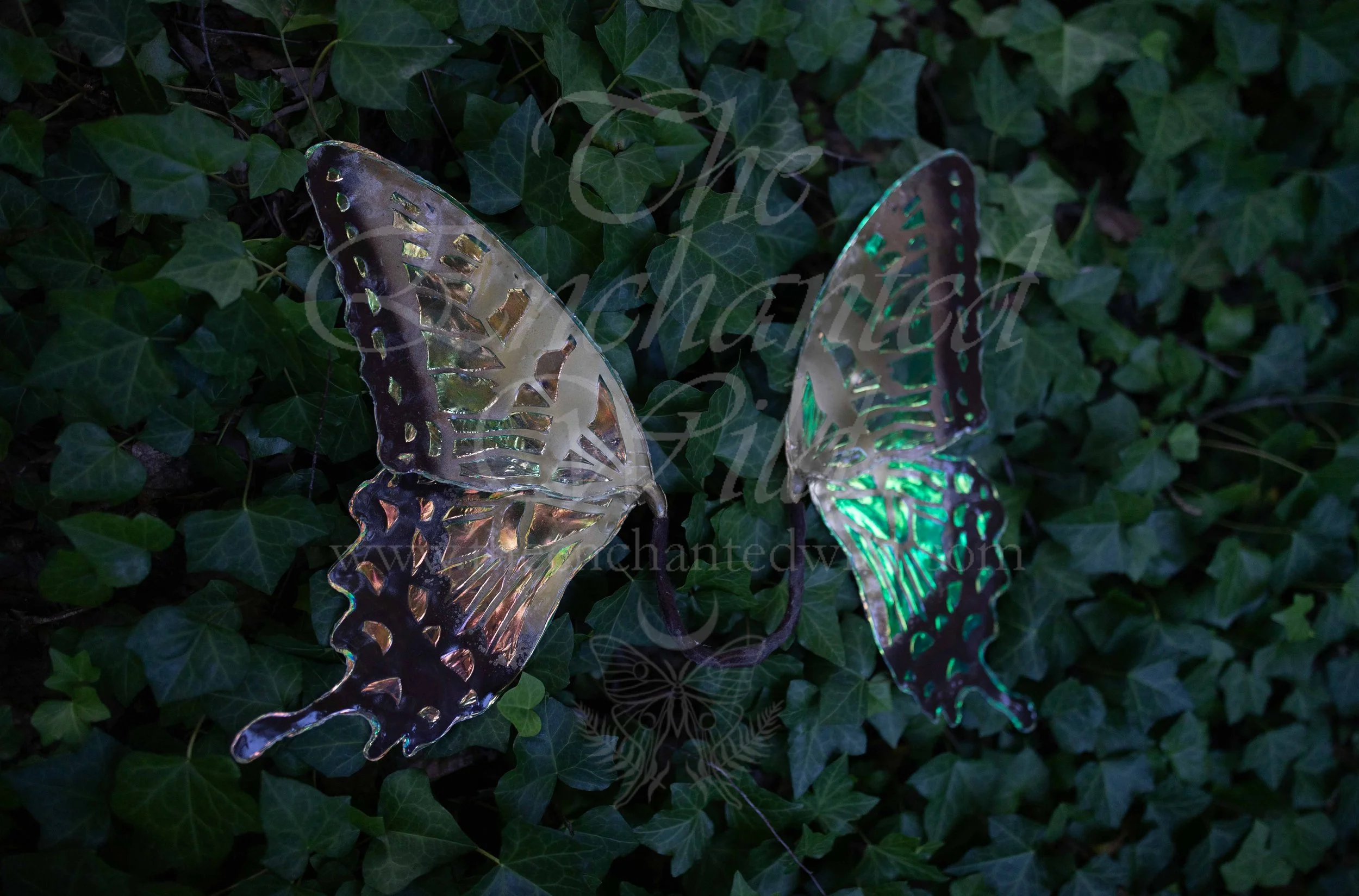 !Small Versions of Wing Files-94.JPG