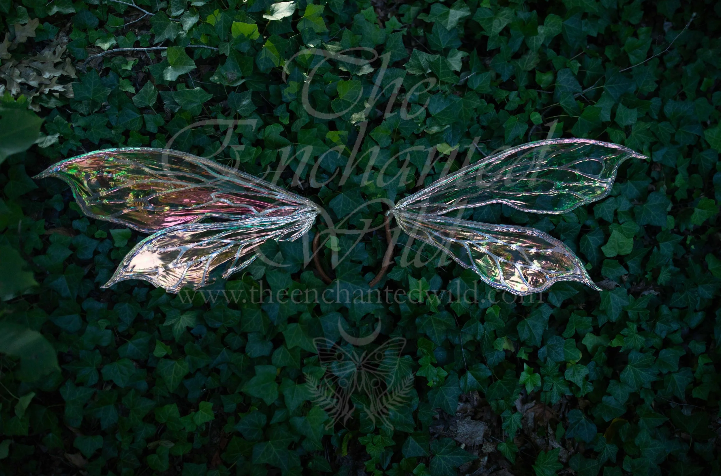 !Small Versions of Wing Files-57.JPG