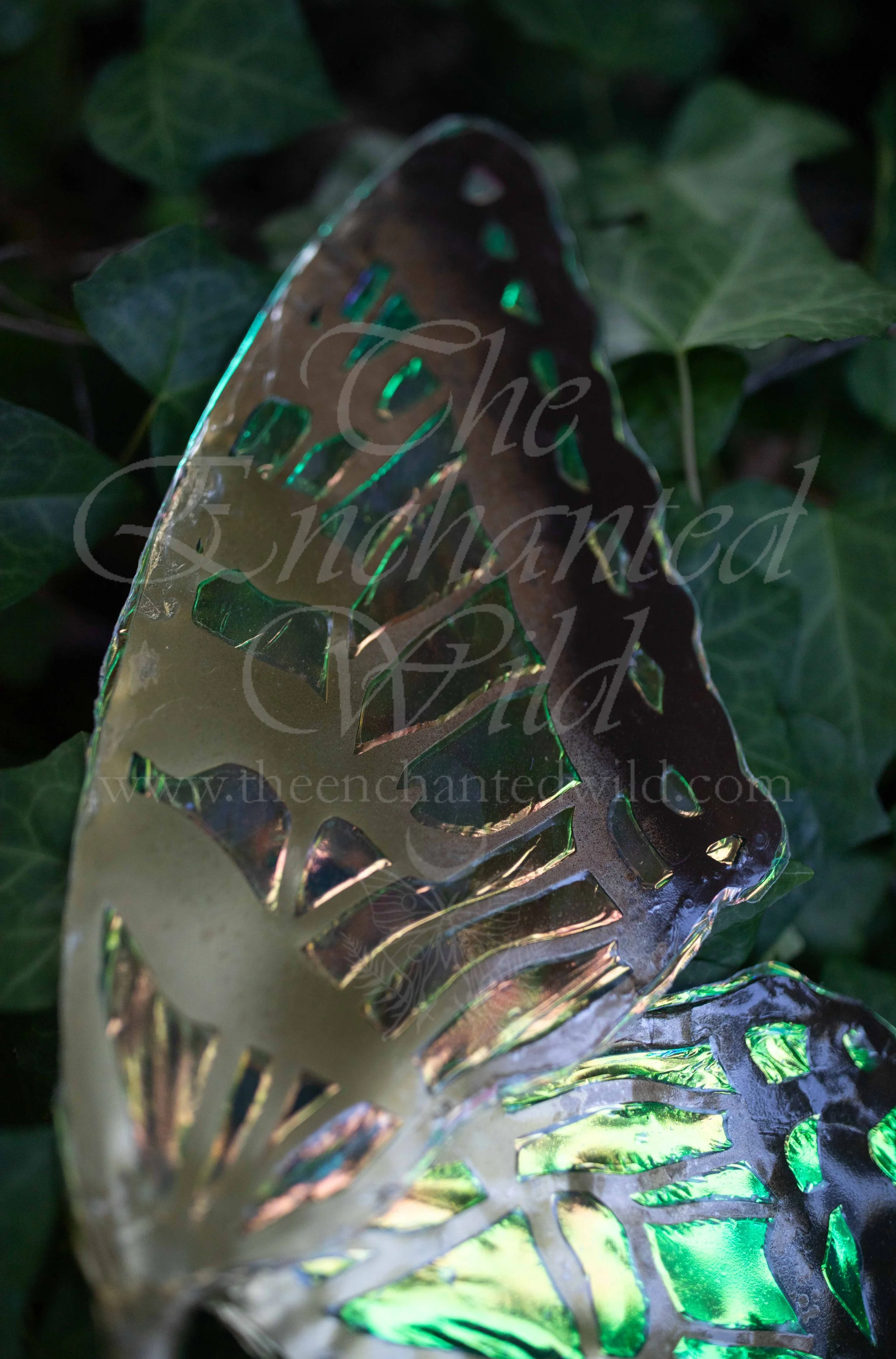 !Small Versions of Wing Files-98.JPG