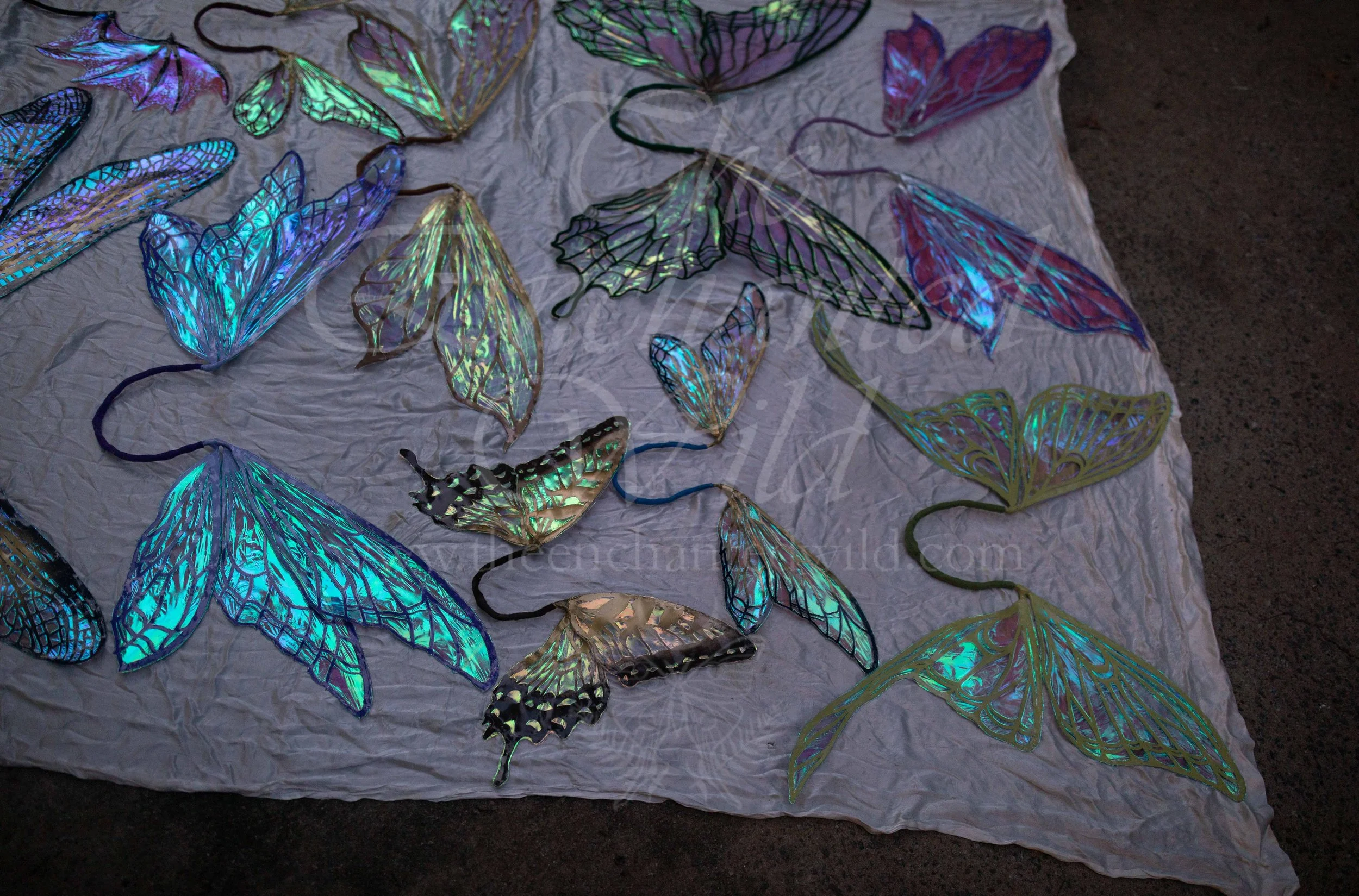 !Small Versions of Wing Files-202.JPG