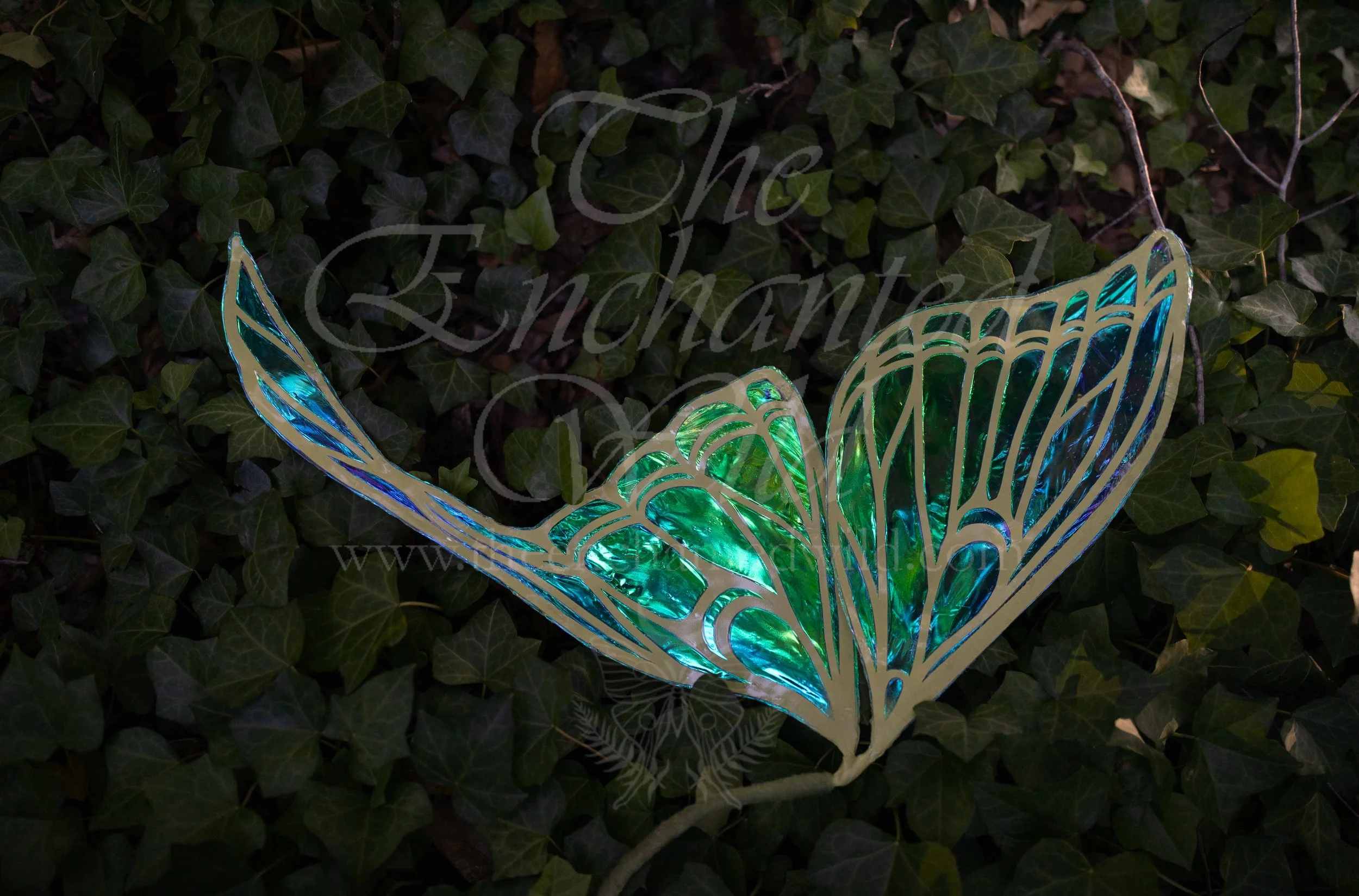 !Small Versions of Wing Files-68.JPG