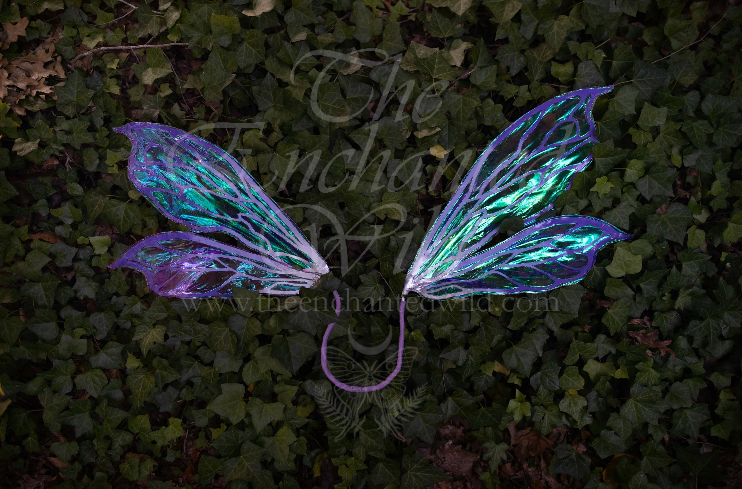 !Small Versions of Wing Files-108.JPG