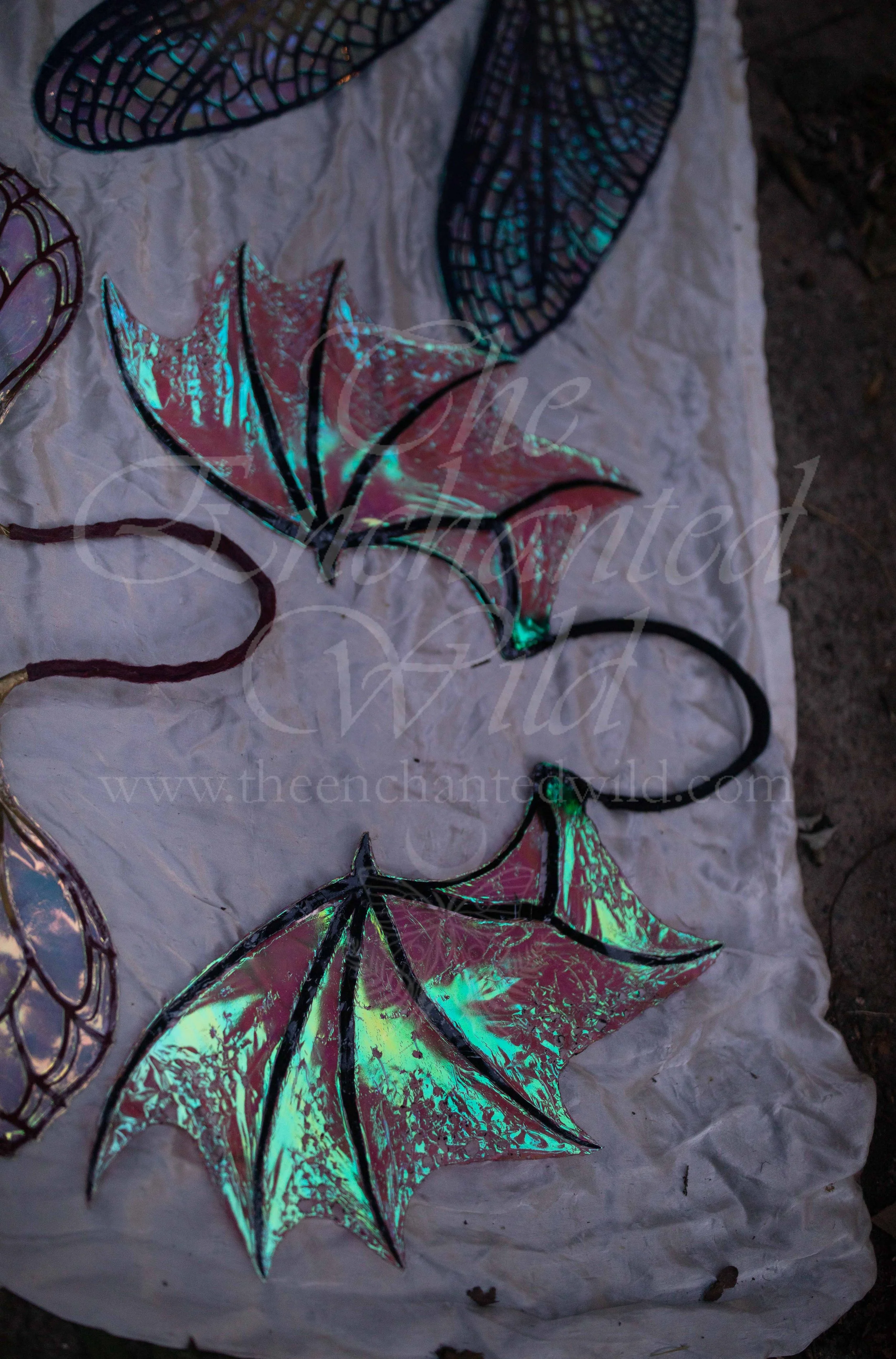 !Small Versions of Wing Files-216.JPG