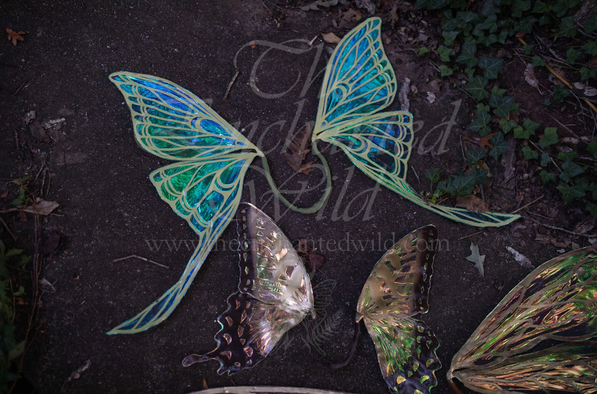 !Small Versions of Wing Files-163.JPG