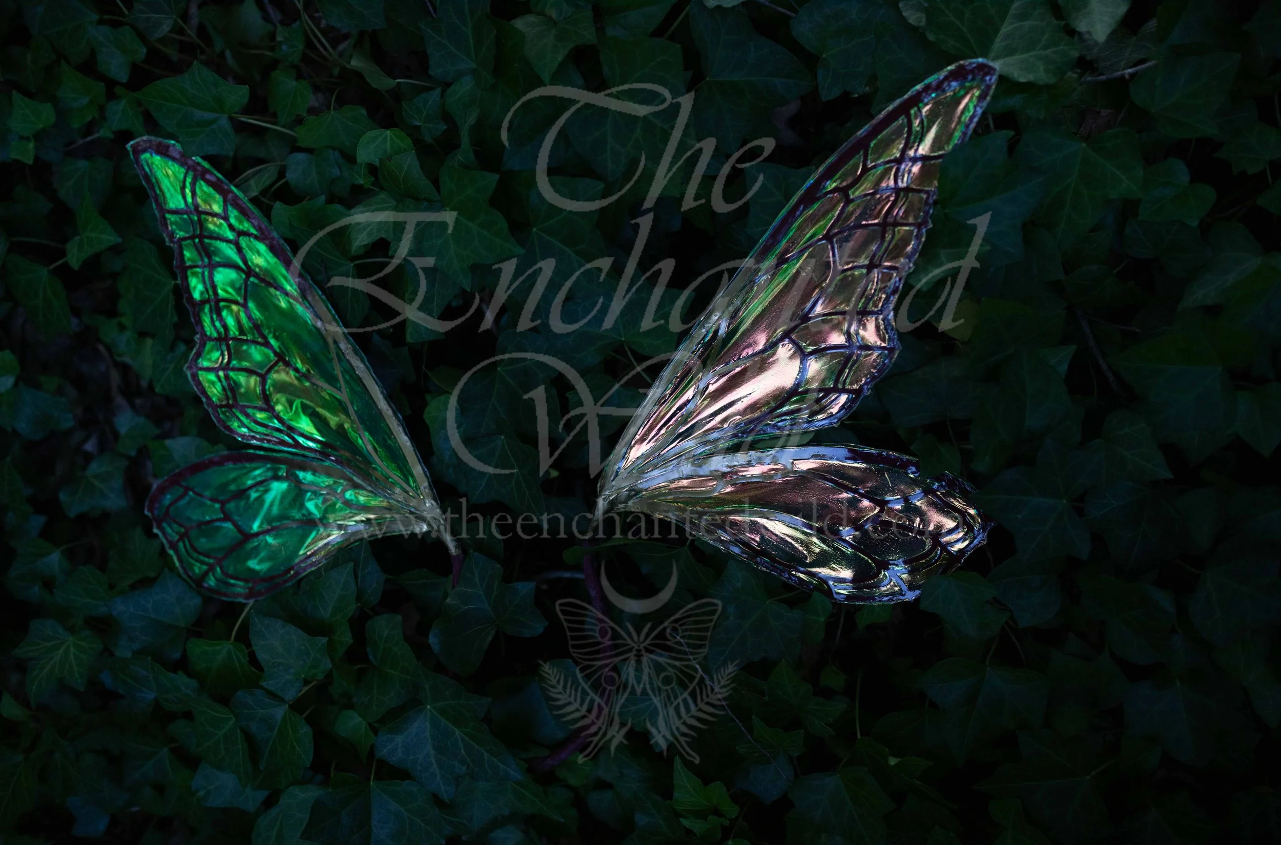 !Small Versions of Wing Files-143.JPG