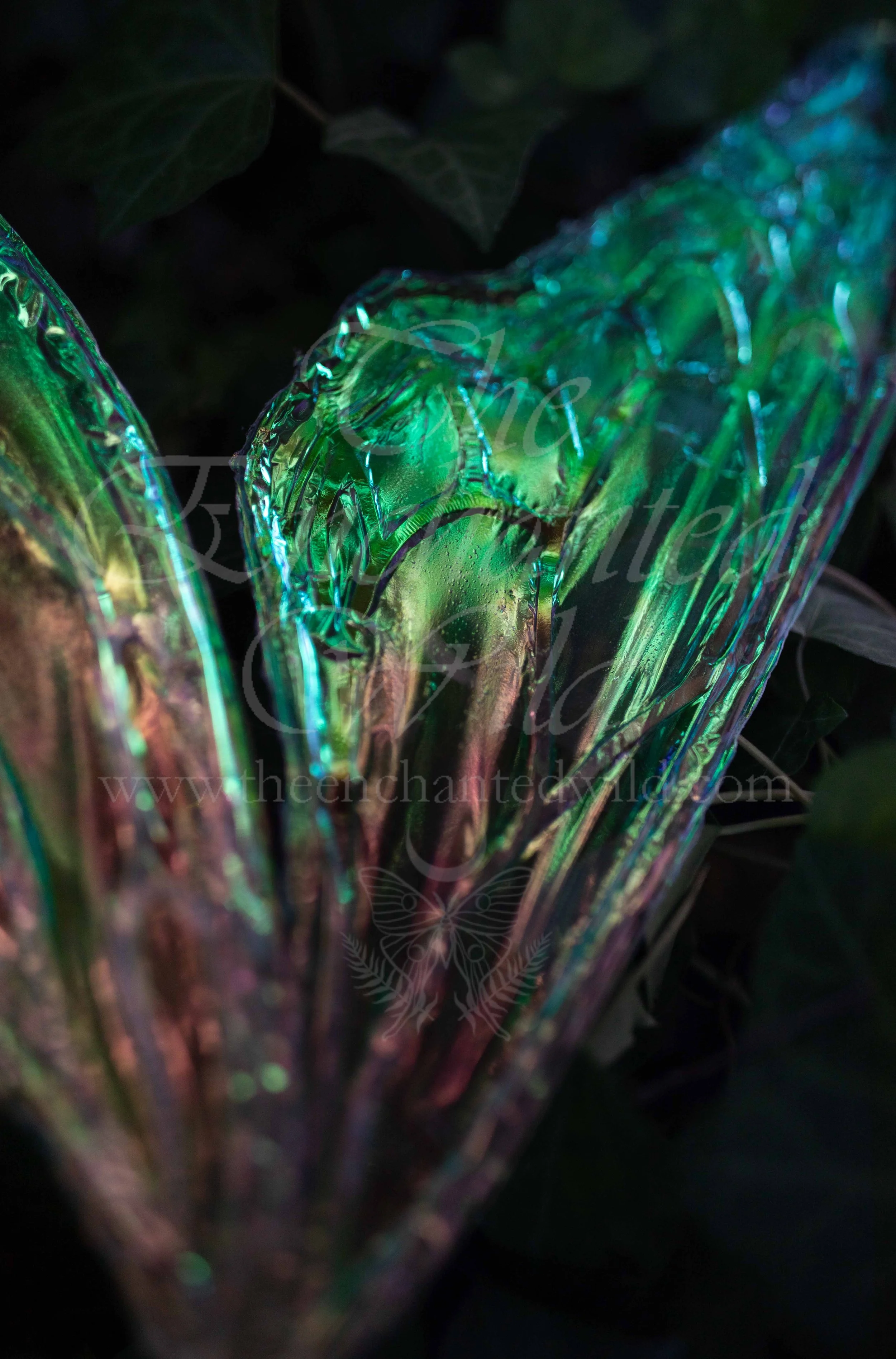 !Small Versions of Wing Files-149.JPG