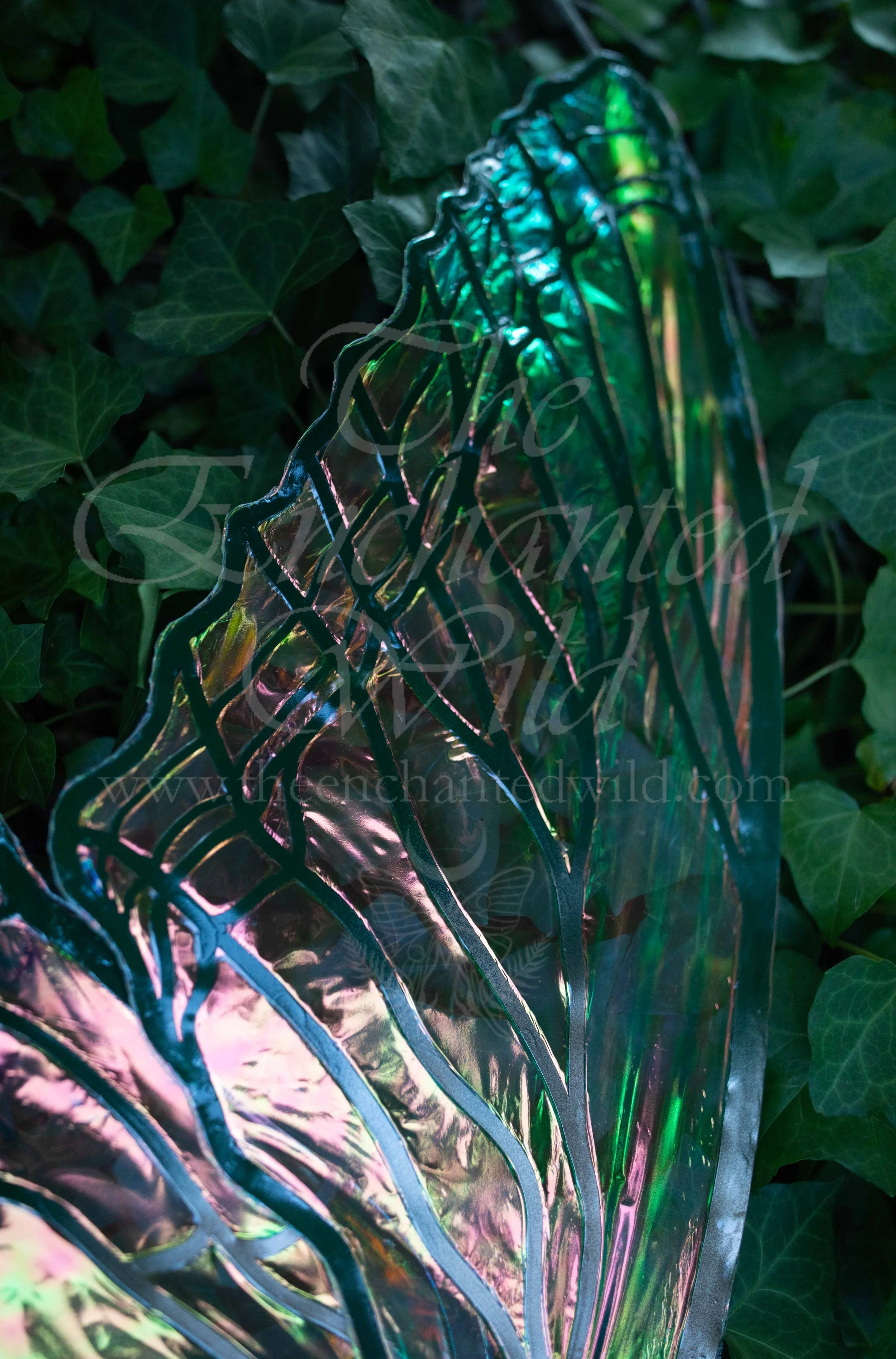 !Small Versions of Wing Files-81.JPG