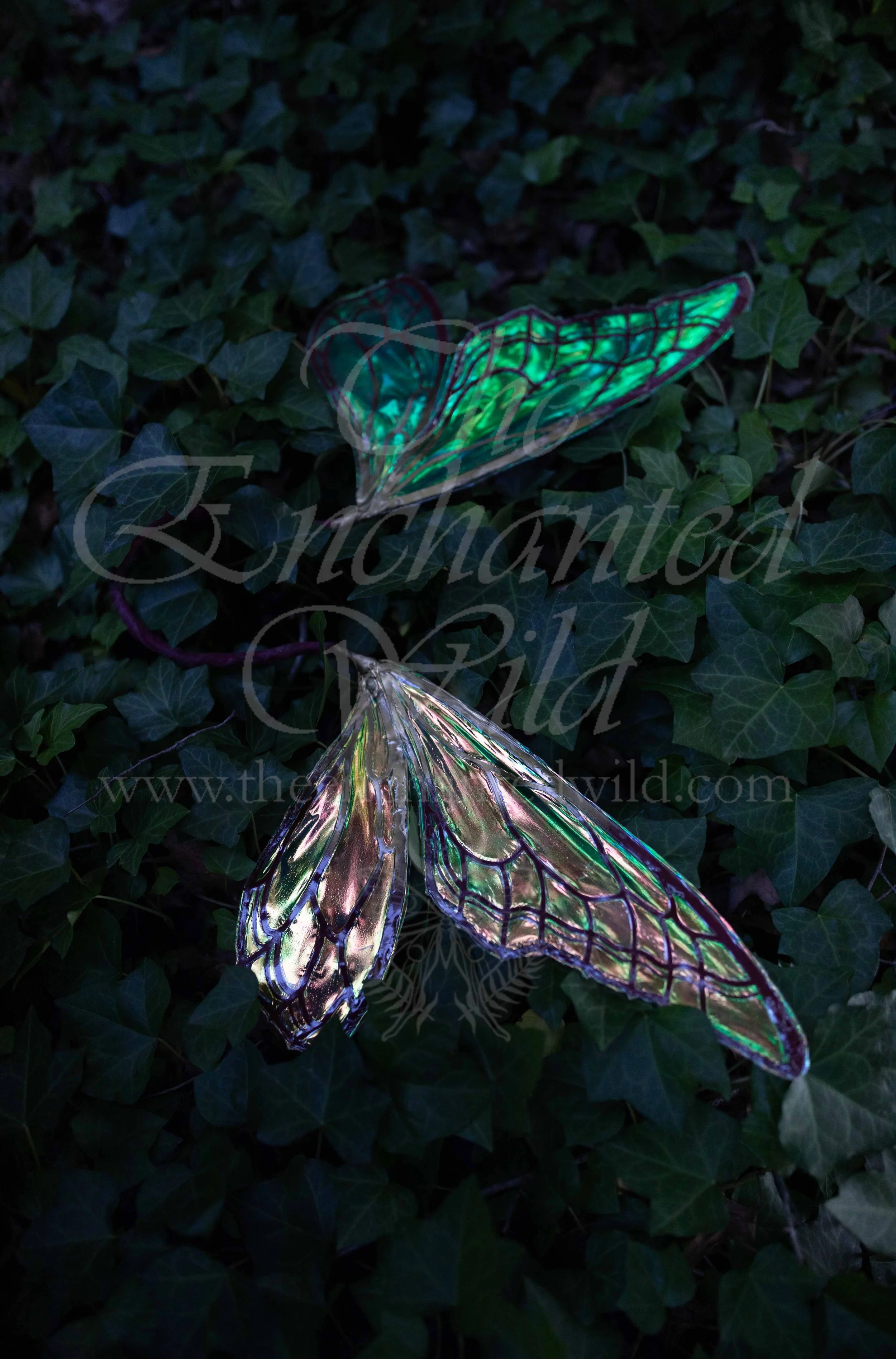 !Small Versions of Wing Files-144.JPG