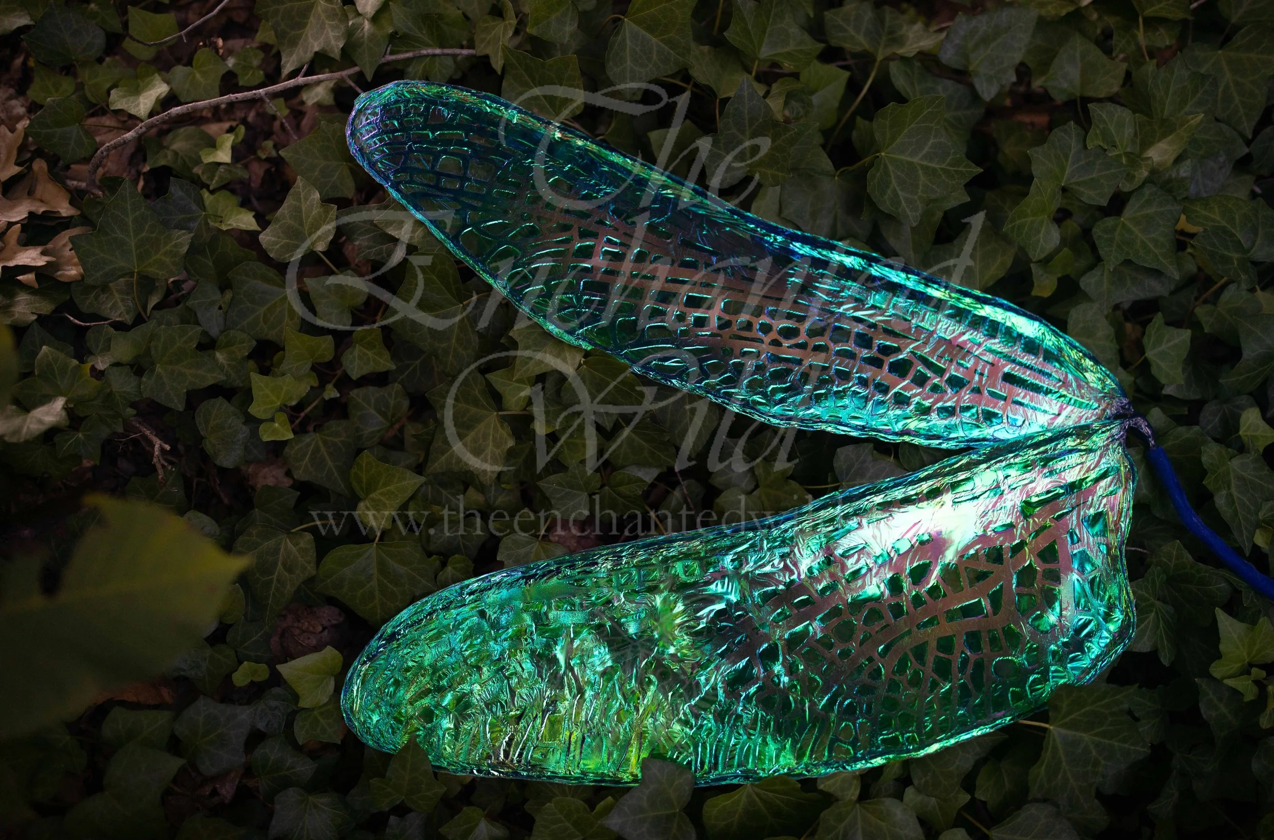 !Small Versions of Wing Files-21.JPG