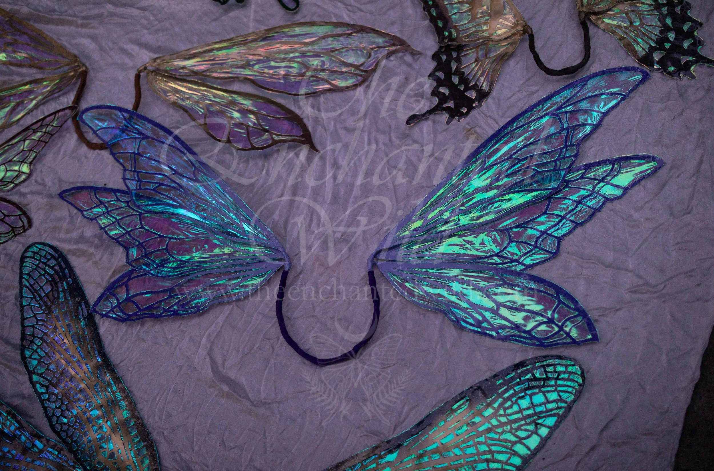 !Small Versions of Wing Files-167.JPG