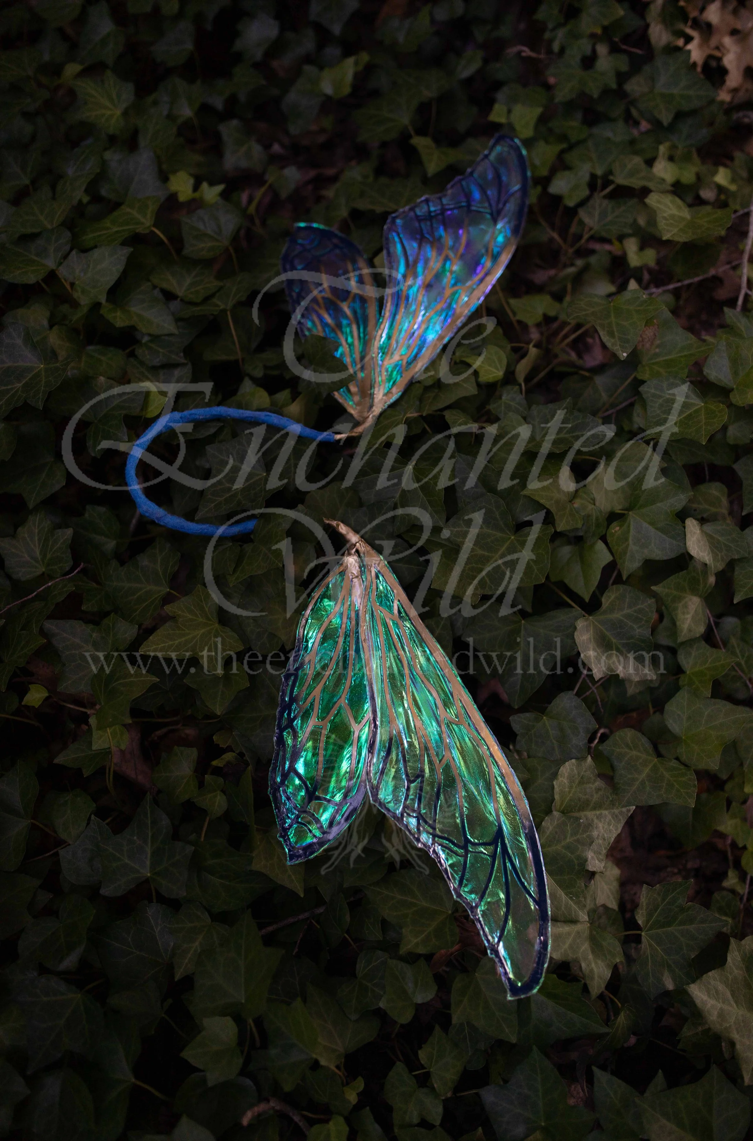 !Small Versions of Wing Files-129.JPG