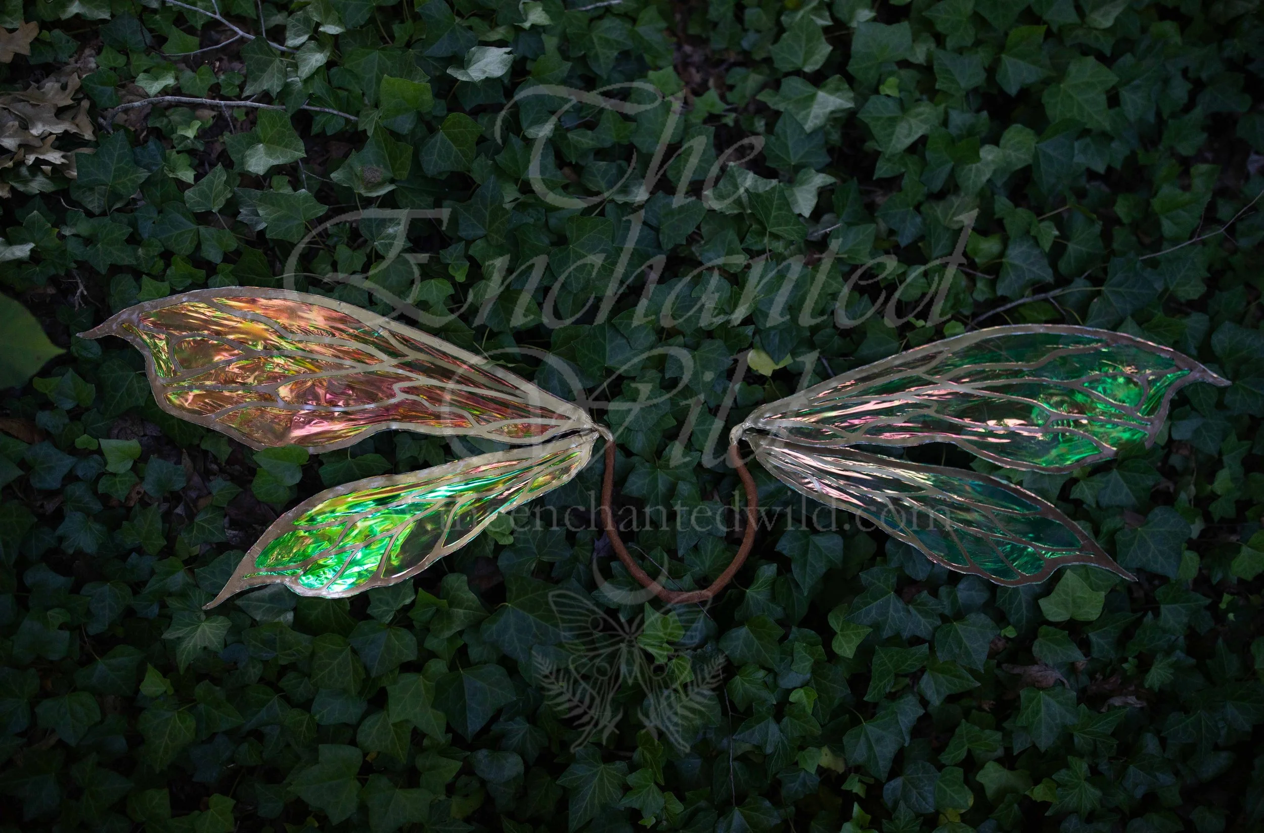 !Small Versions of Wing Files-46.JPG