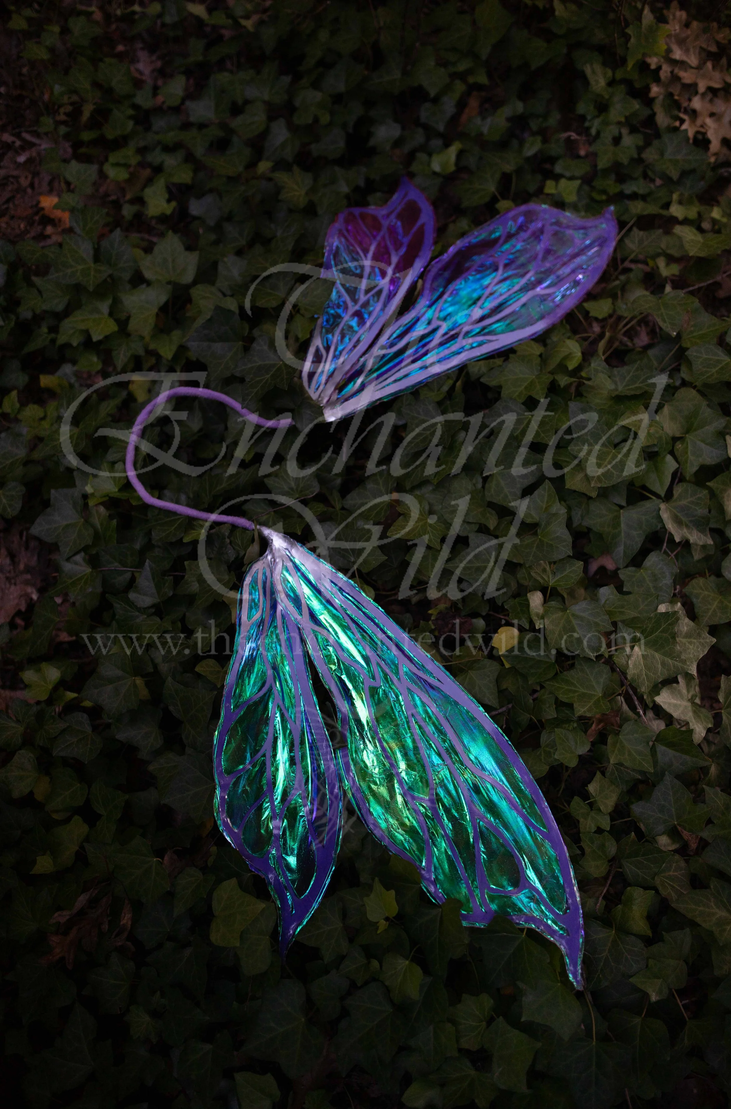 !Small Versions of Wing Files-117.JPG